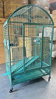 Amazon.com : XX Large DomeTop Wrought Iron Bird Parrot Cage