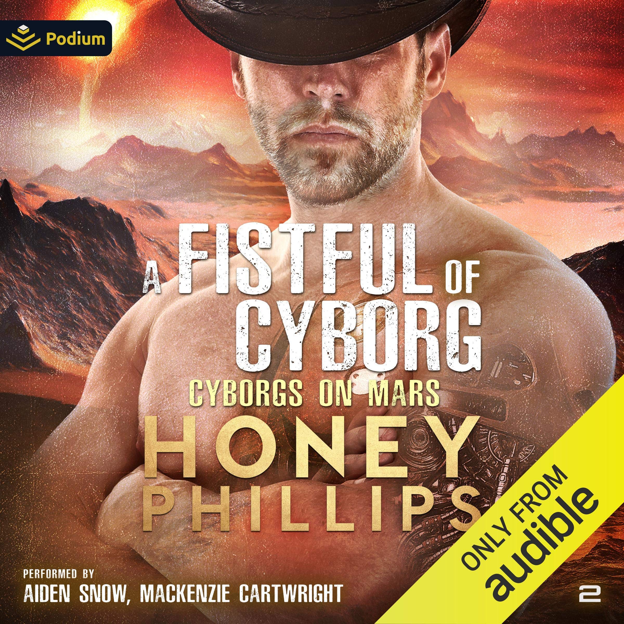 Cover art for A Fistful of Cyborgs