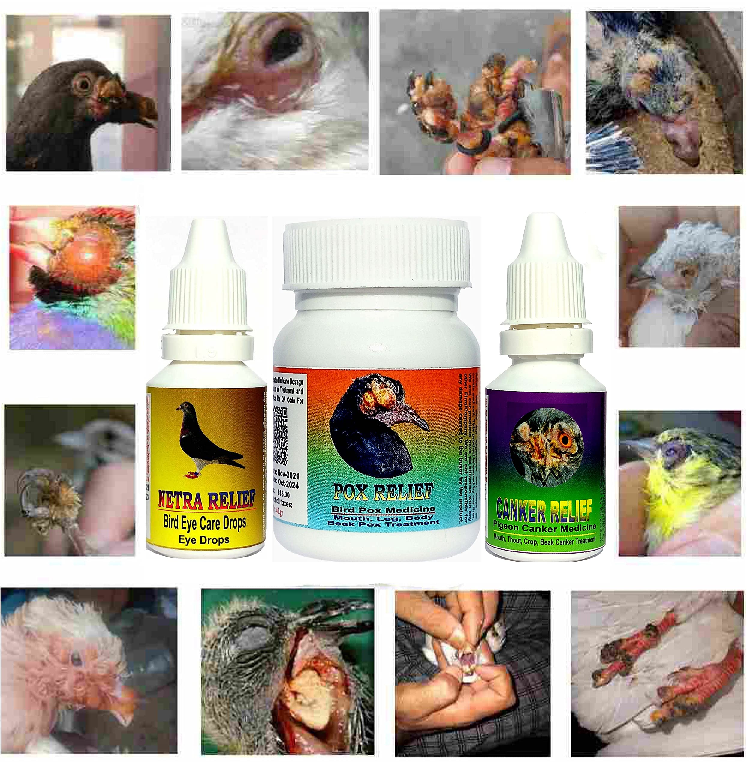 Pigeon Pox Medication || Complete Treatment Combo Pack || Cover Canker and Eye Problems || Kabutar Medicine (Pox.10g, Canker 10g, Eye 10ml) (B0BSNBMDMK) Amazon Price History, Amazon Price Tracker
