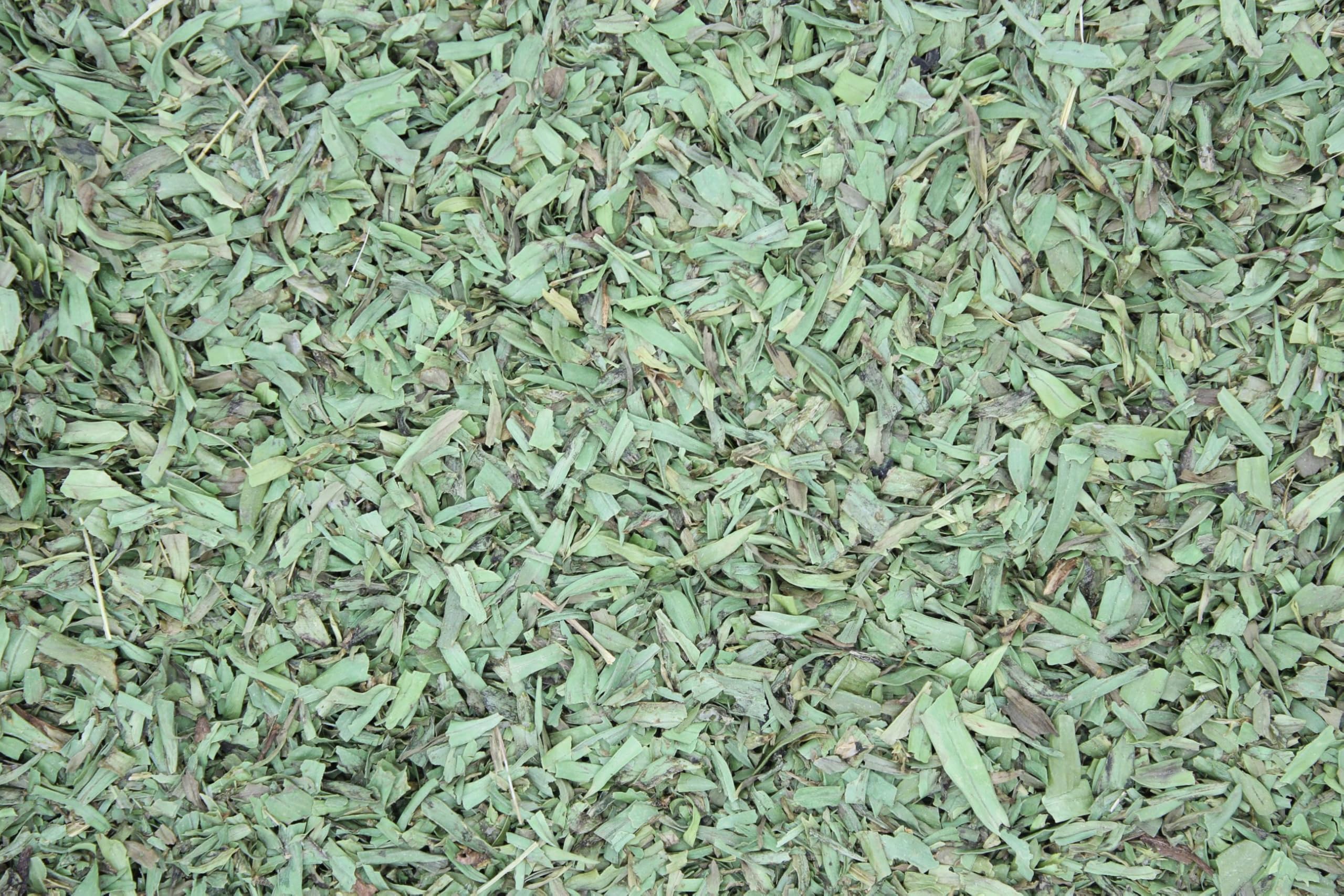 1000Kräuter Estragon Estragonblätter gerebelt getrocknet Küchenkräuter Artemisia dracunculus Tarragon leaves rubbed (1000g)