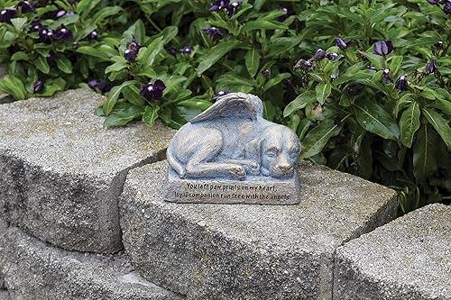 Miniatura 2 de Roman Jardín - Estatua de jardín de perro con alas, 6H, colección de jardín, resina y piedra, decorativo, regalo conmemorativo, regalo de jardín,
