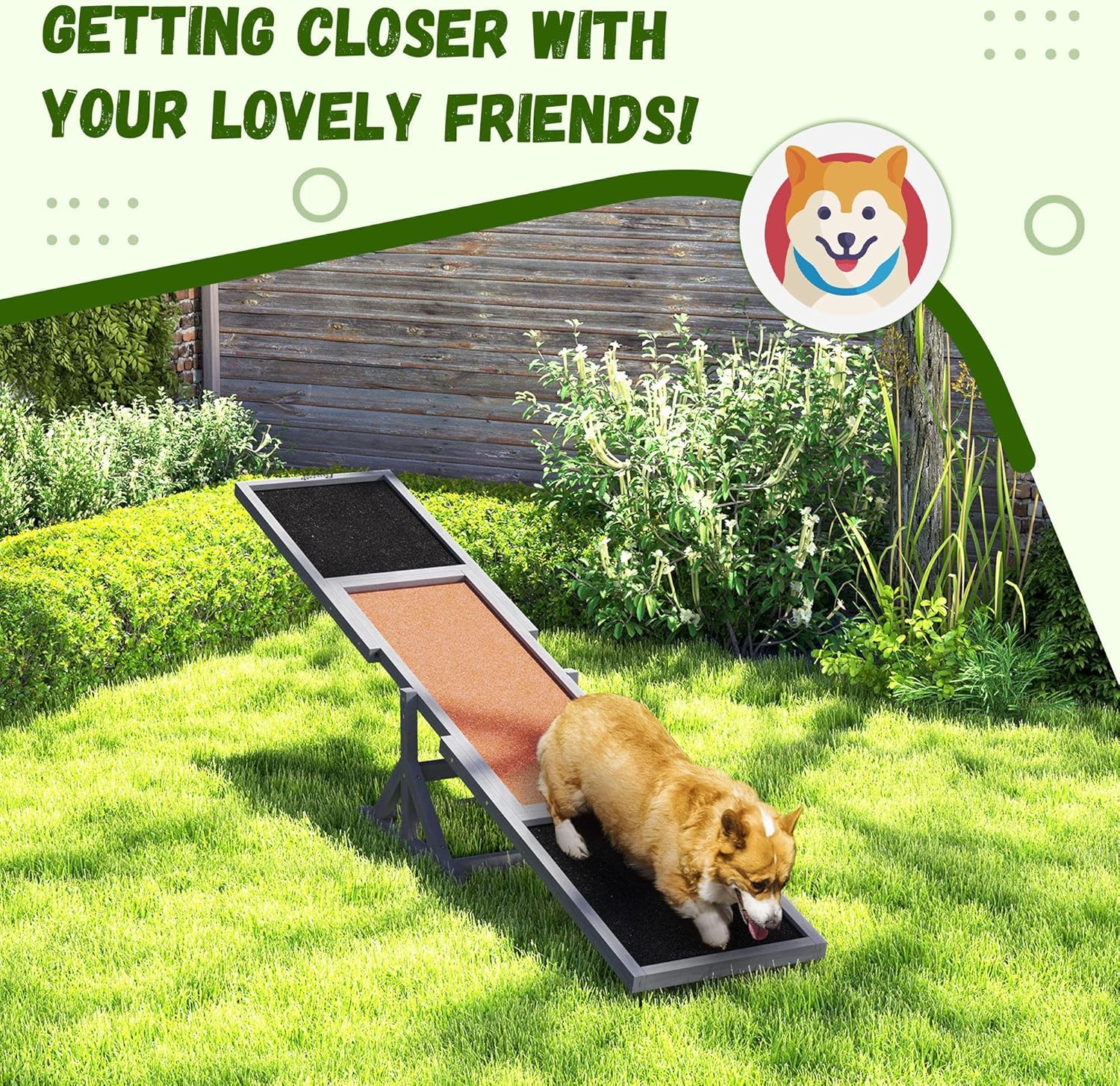 Dog Agility Seesaw