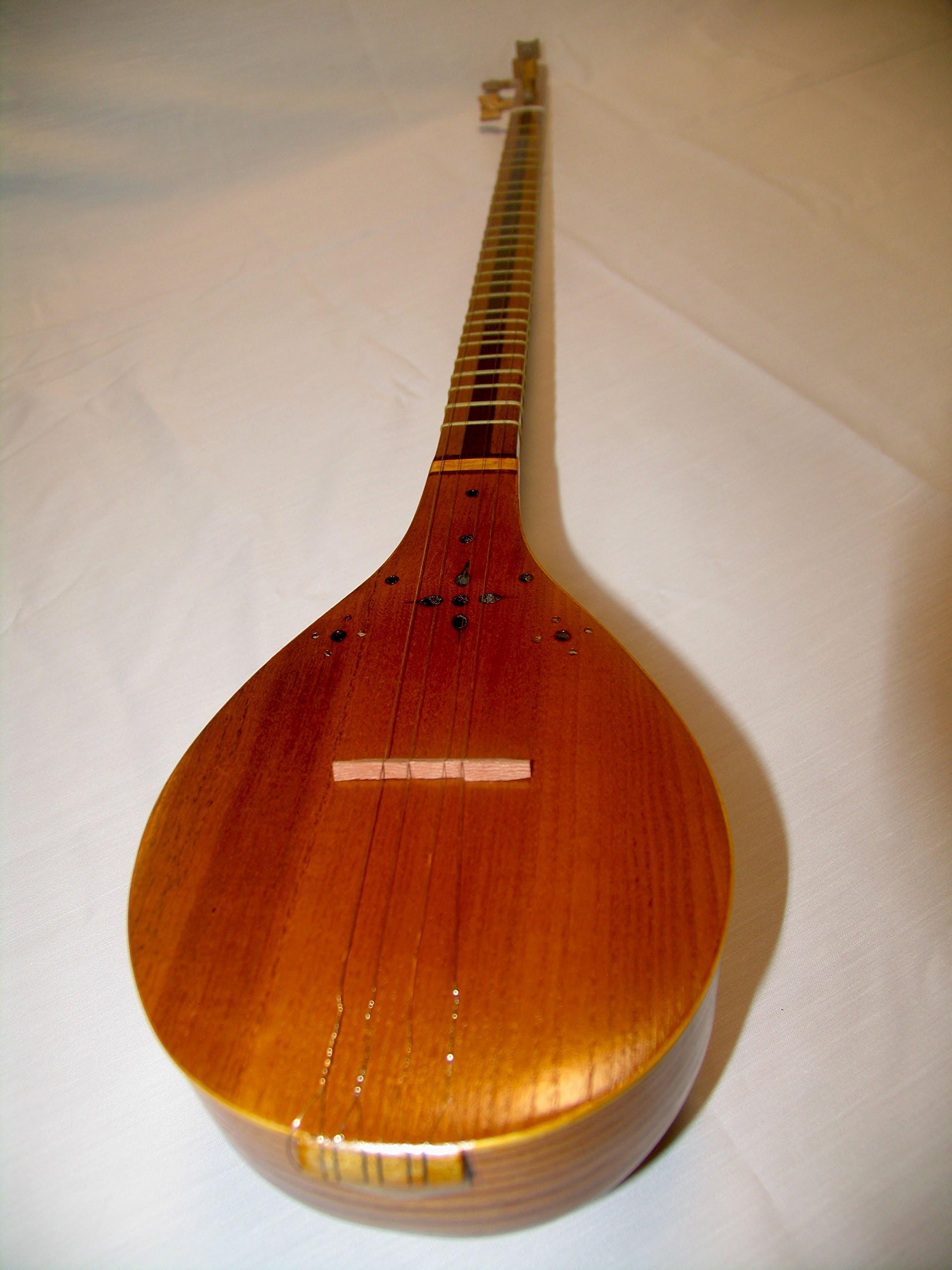 Economy Class Persian Setar - Sitar Sehtar Nouri with a Soft Case