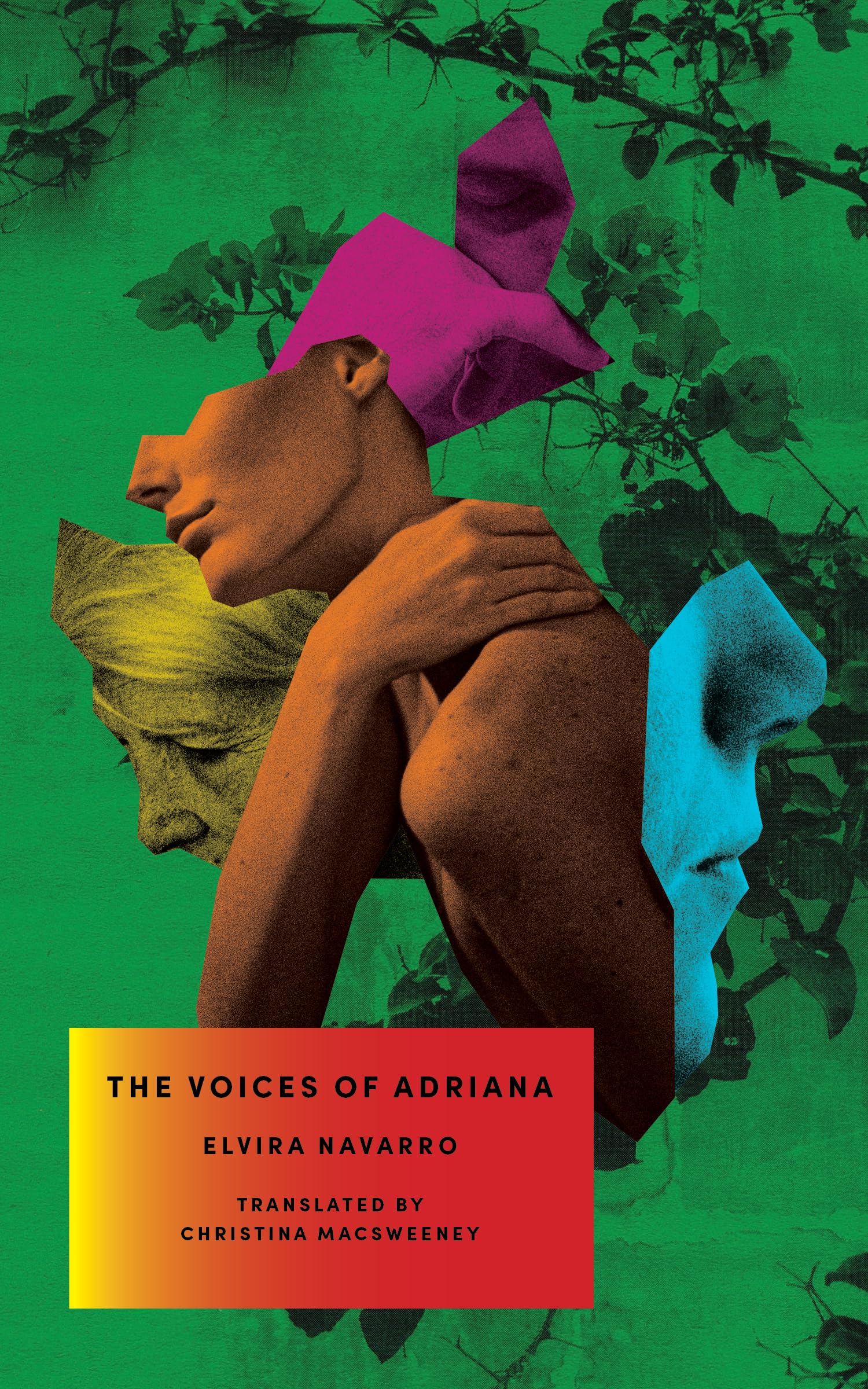 Buy The Voices of Adriana — BookShops.in