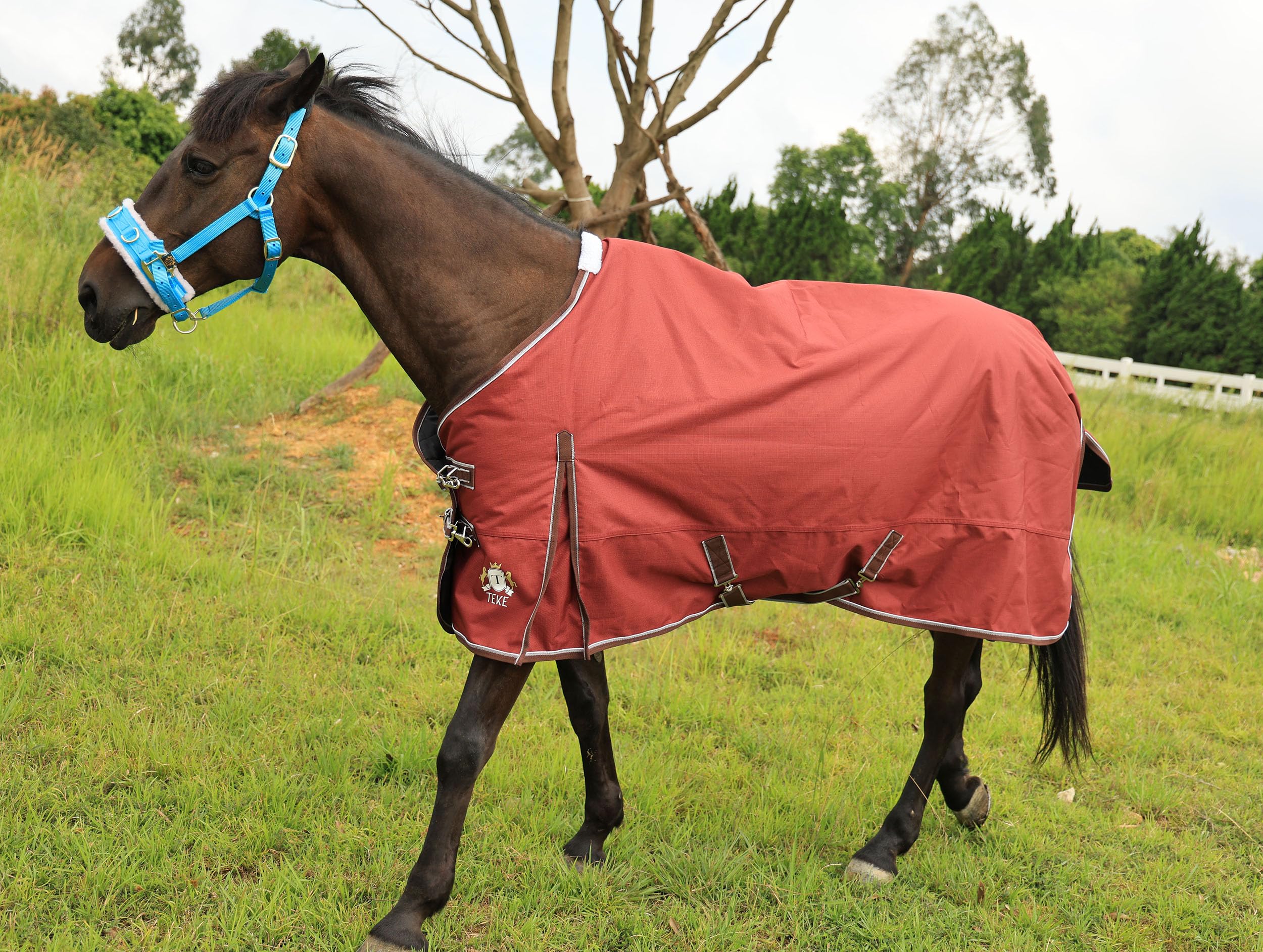 T TEKE Deluxe Turnout Horse Blankets, 1200D Waterproof and Breathable Horse Care Blankets for Winter 200gram Filling (51