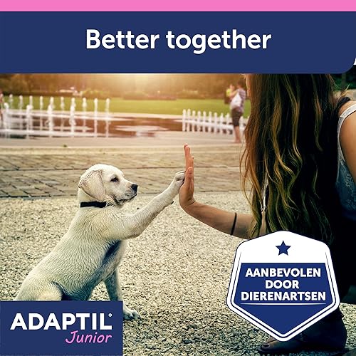 Miniatura 8 de ADAPTIL Collar calmante de feromonas para cachorros junior