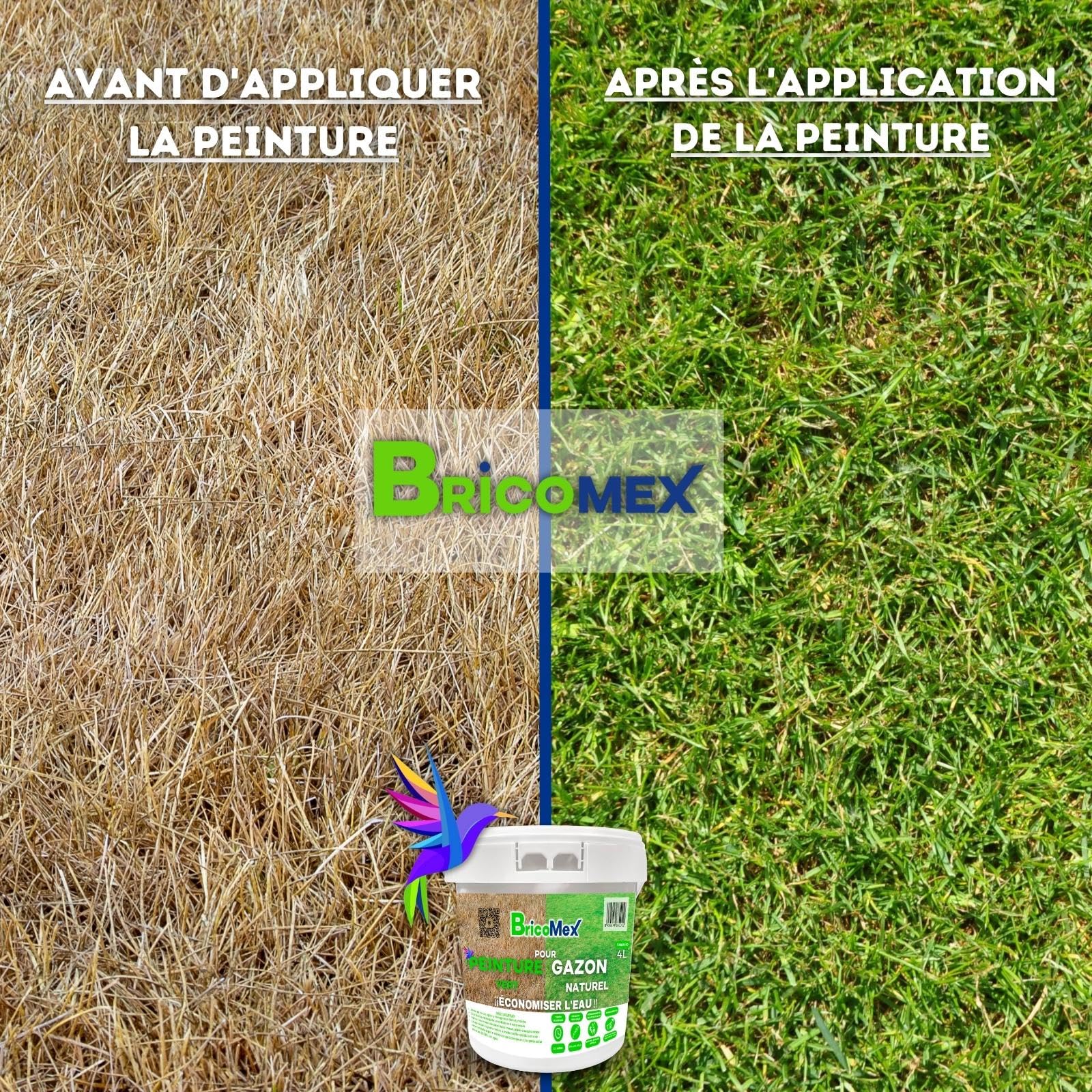 Peinture pour Gazon | Vert Pelouse | Herbe Verte | 100% Biologique | Une Mise en œuvre Facile (4 Litres)