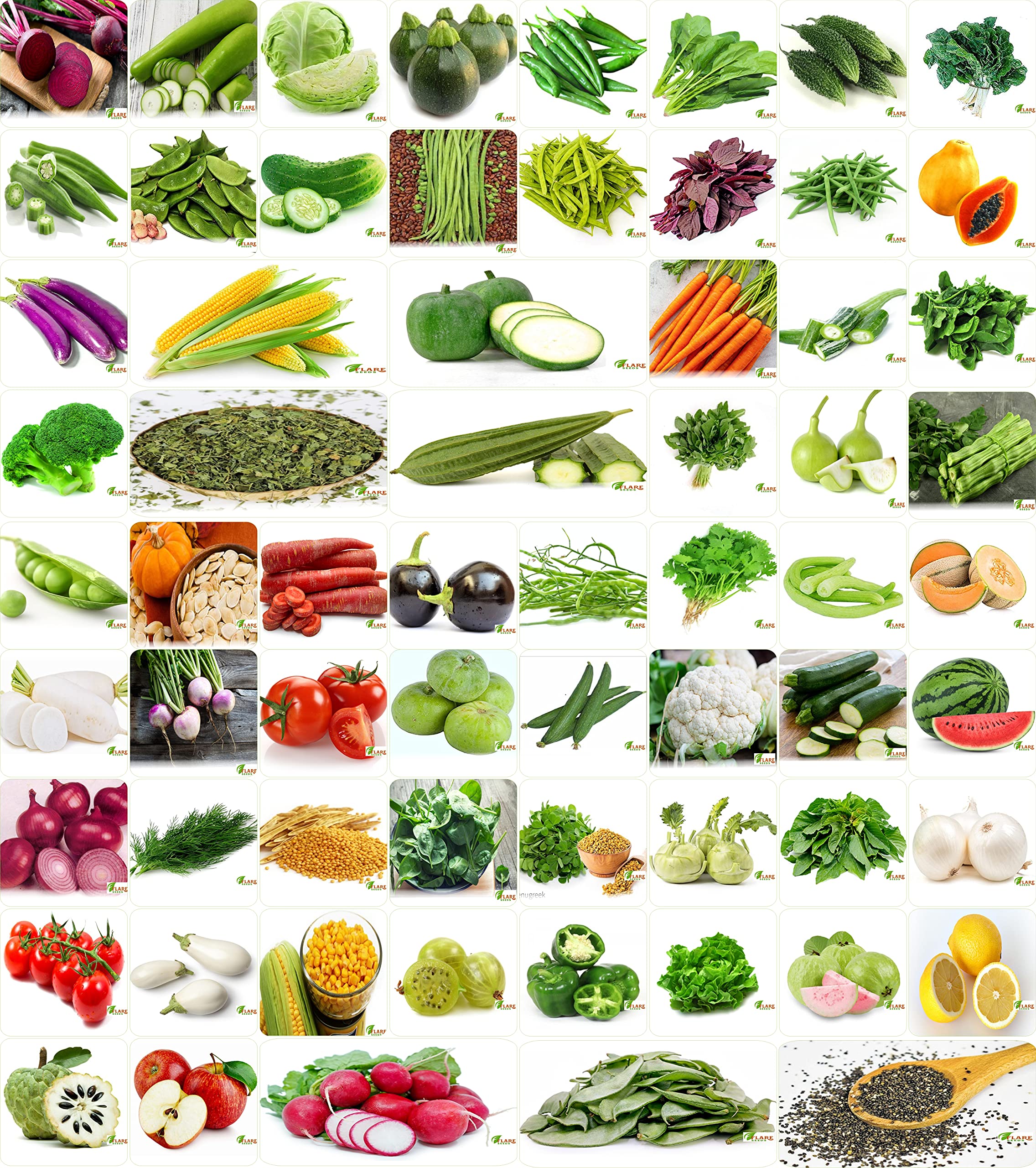 VRISA GREEN Indias No.1 Vegetable Seeds, Winter, Summer, Home Garden, Seeds Bank, Organic 65 Seeds Combo (B09CMYS2VY) Amazon Price History, Amazon Price Tracker