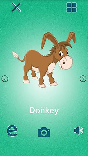 Learning animals sound / picture