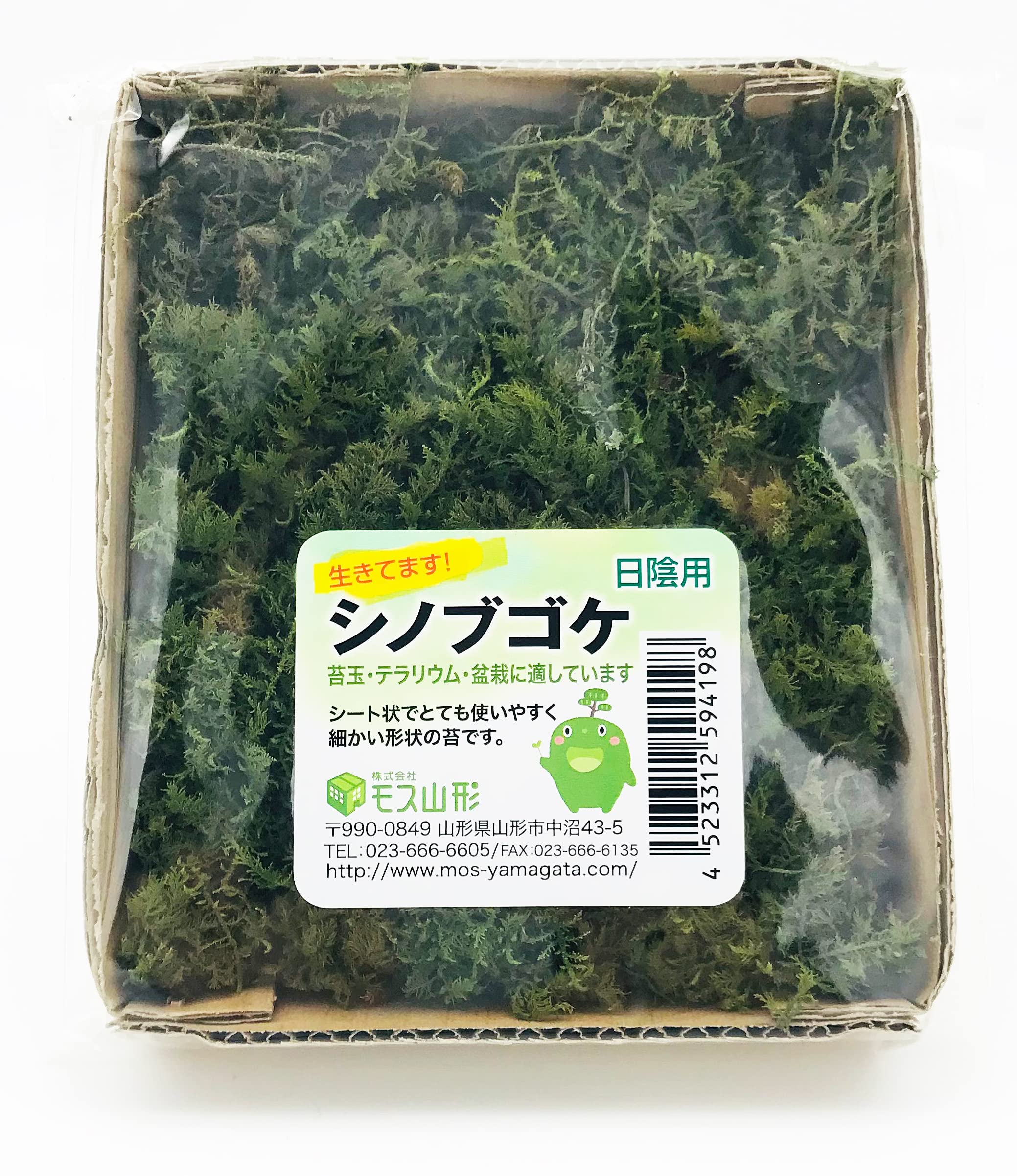 2025年最新】シッポ苔の人気アイテム - メルカリ シッポゴケ 装飾用