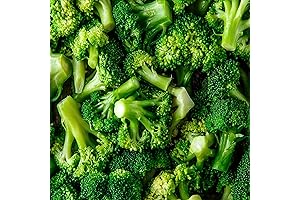 Organic Broccoli Seeds for Planting: Grow Your Own Vegetable Garden