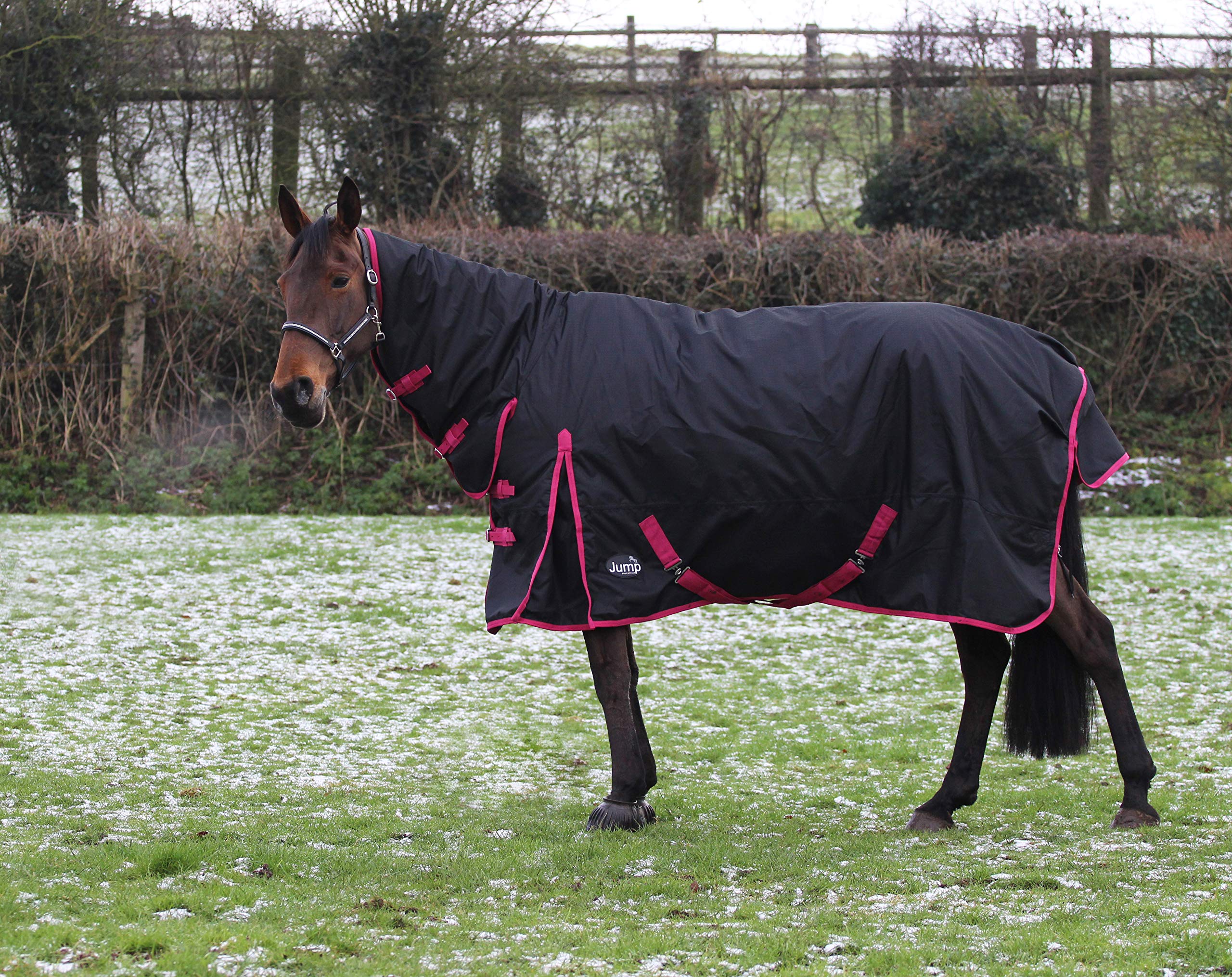 Jump Equestrian Heavyweight Winter Combo Turnout Horse Rug 350g Full Neck Black With Blue/Raspberry Binding (6'3'', BLACK WITH RASPBERRY BINDING)