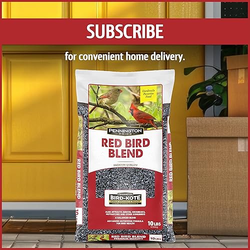 Vista 18 de Pennington - Pride Wild Finch - Mezcla de semillas para pájaros silvestres, 10 libras