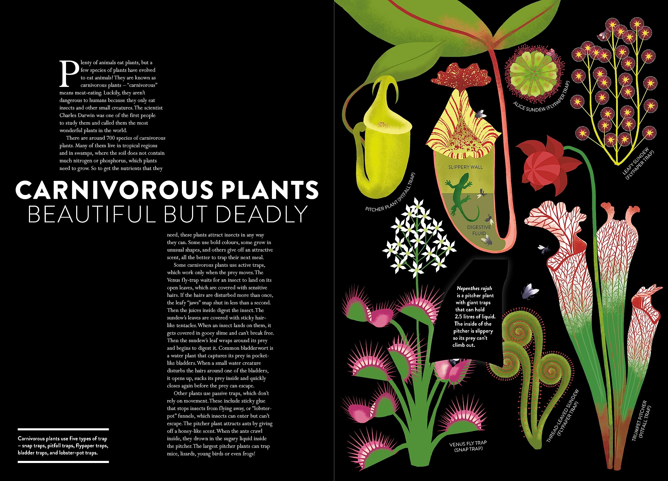 Plant Life /anglais