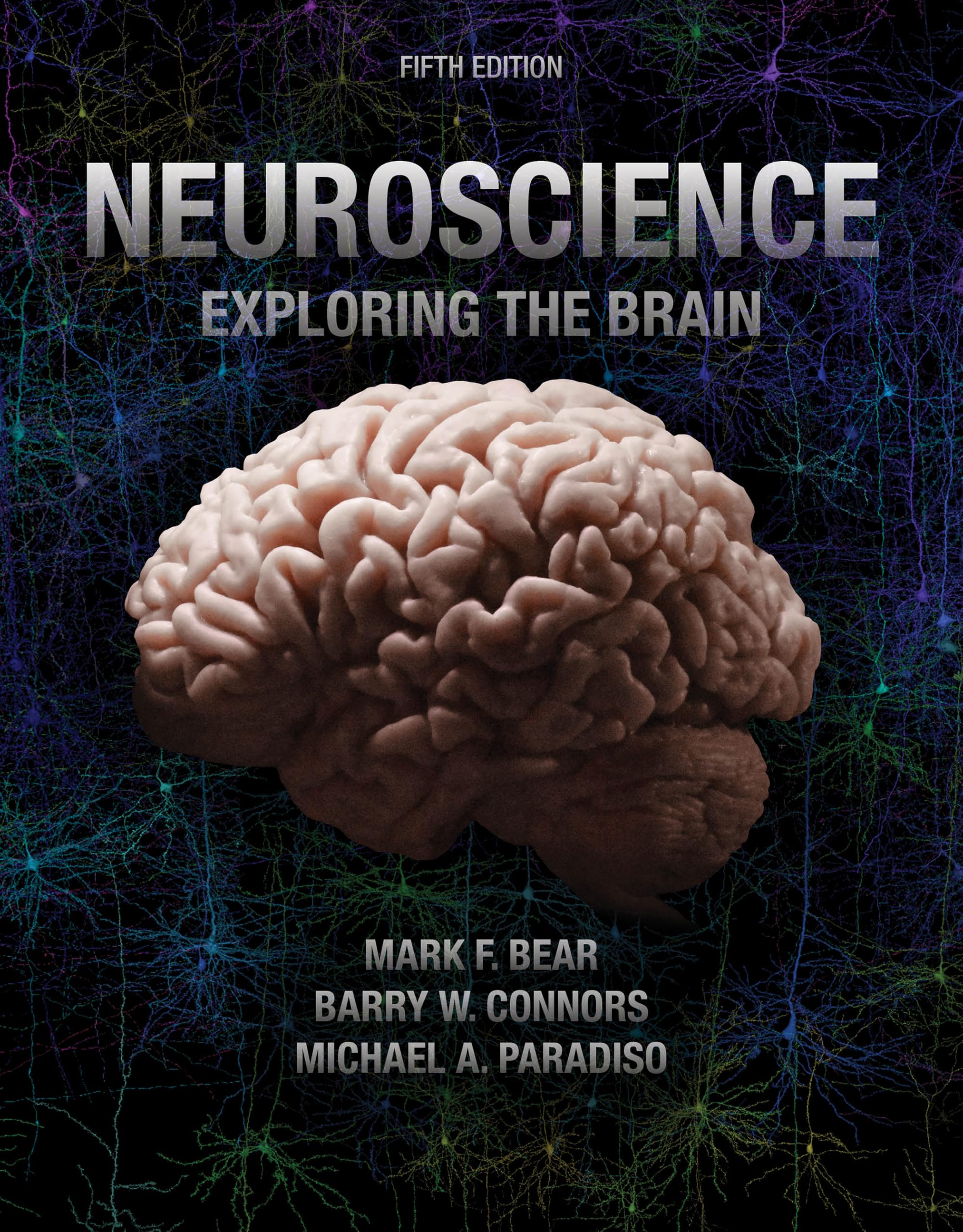 Neuroscience: Exploring the Brain (English Edition)