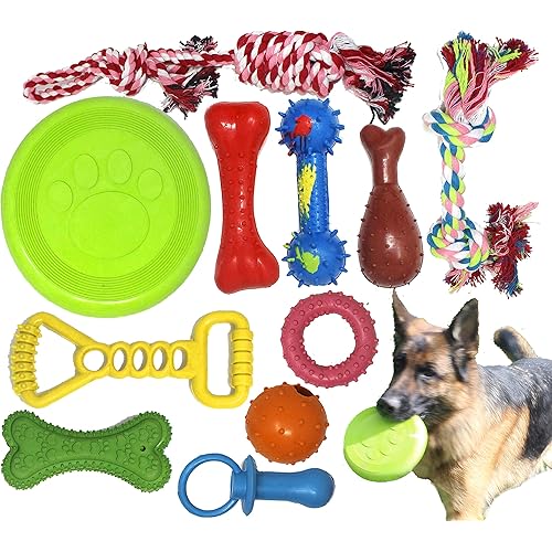 Jalousie Chew Toy Natural Rubber chew Toy for Interactive Play Toy Ball Rope Rubber Value Set for Small to Medium Breed Dog mutt Puppy