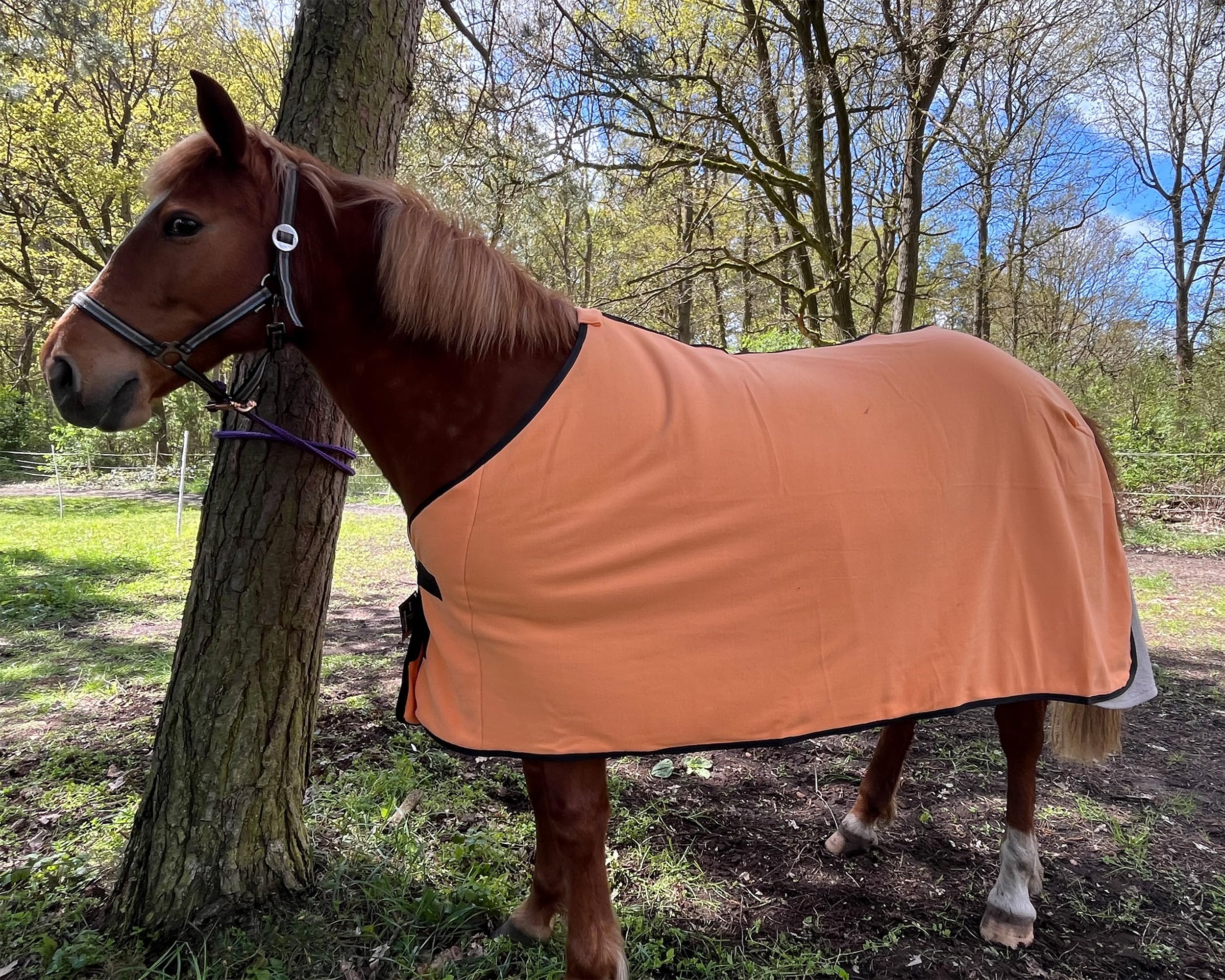 Coperta In Pile Per Cavalli PFIFF – Bicolore Nero/verde, Misura 155 Cm, Per Trasporto E Sudore