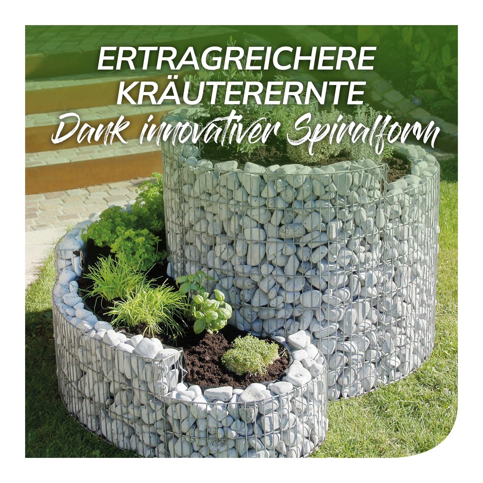 bellissa Gabionen Kräuterspirale Kräuterschnecke verzinkt 110x90x60 cm | Bausatz für Hochbeet, Pflanzring für Kräuter & Gemüse mit Trennfolie, Witterungsbeständig & langlebig, für Garten & Terrasse