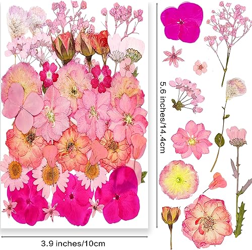 Miniatura 2 de 15 tipos de 37 flores prensadas secas rosas para moldes de resina, flores prensadas naturales reales para manualidades de manualidades, fabricación