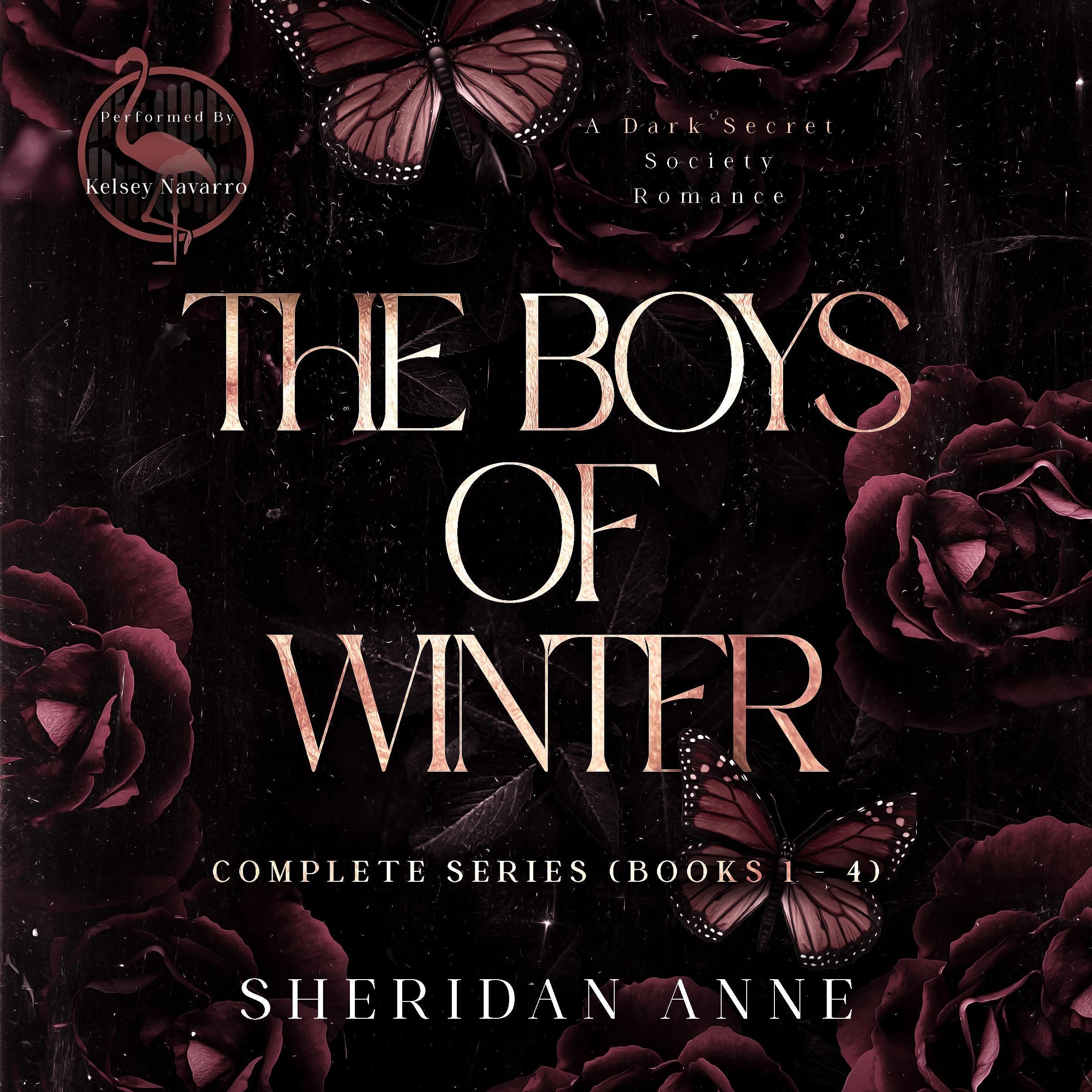 Cover art for Boys of Winter: The Complete Box Set