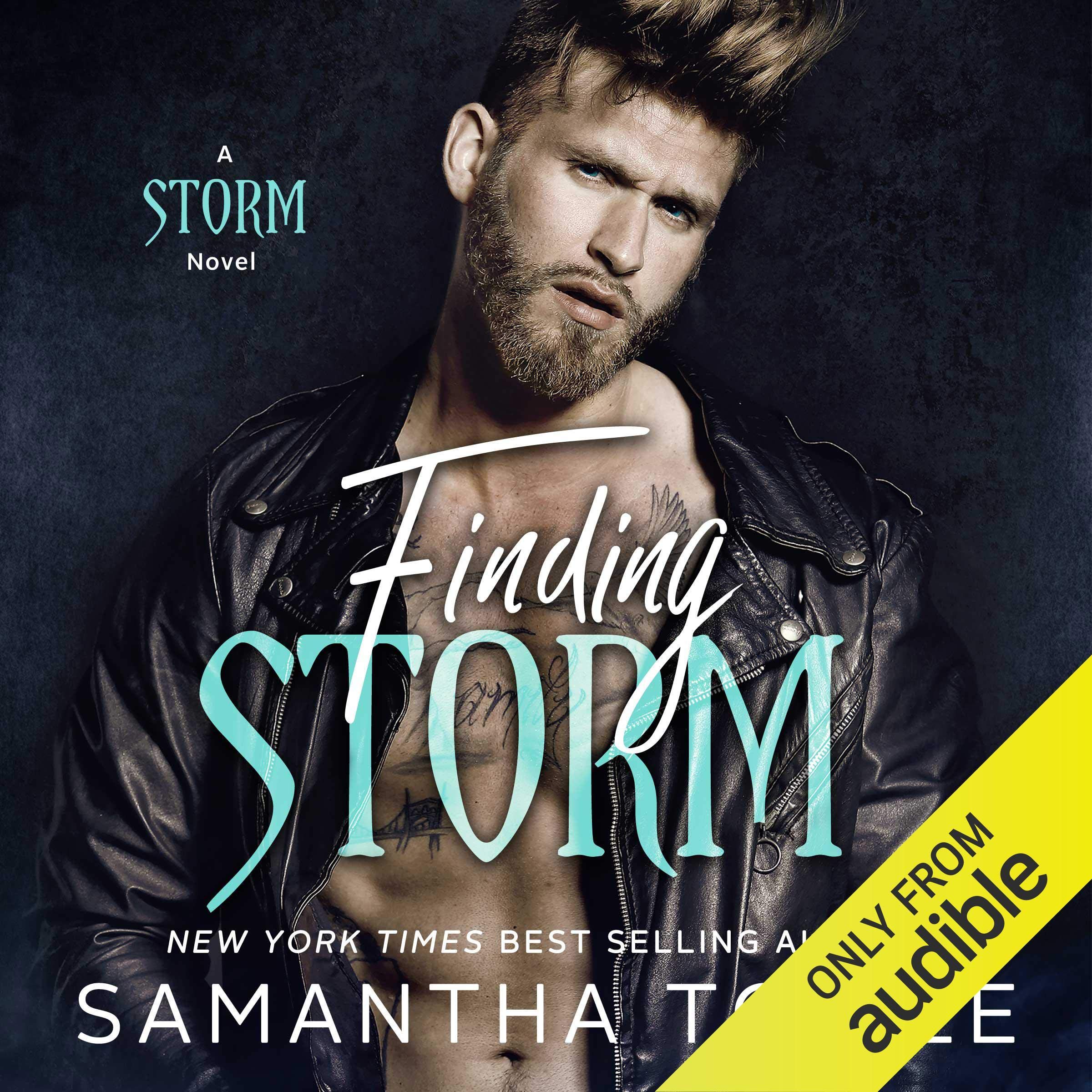 Cover art for Finding Storm
