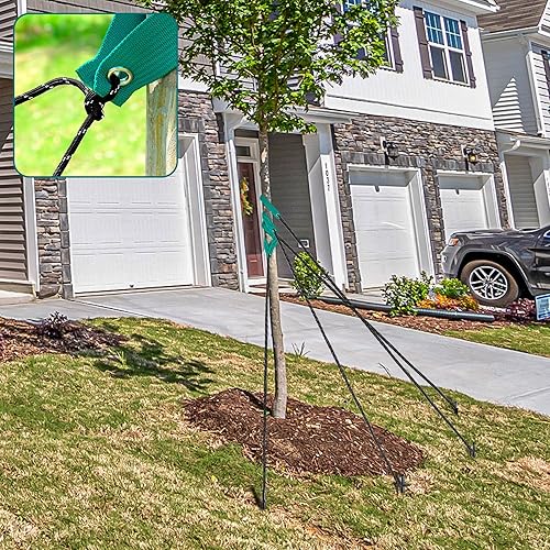 Miniatura 4 de Paquete de 18 kits de estacas de acero resistente con correas de árbol incluye 6 correas de árbol de 155 pulgadas 6 estacas de árbol de 78 pulgadas