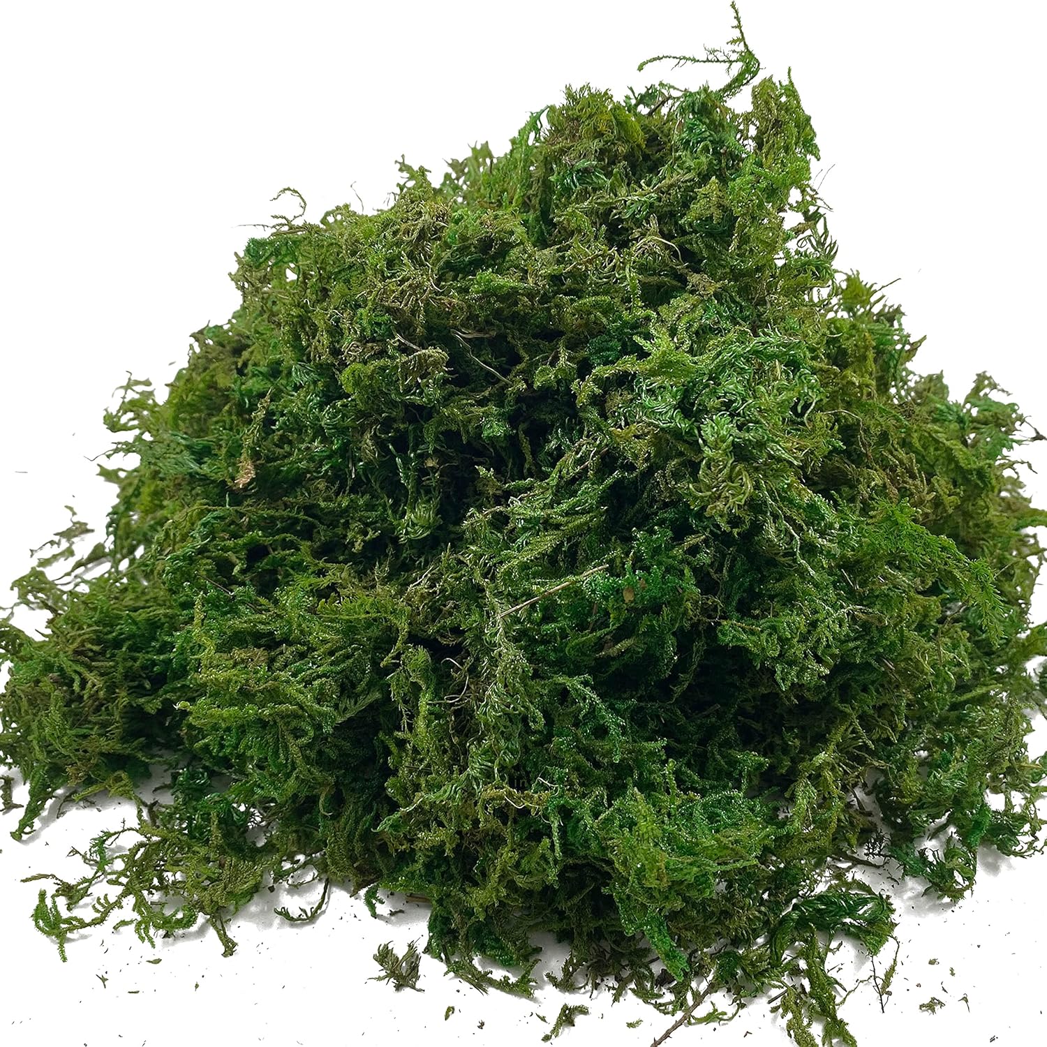 Artificial Dried Forest Moss Fake Moss Preserved Green Moss