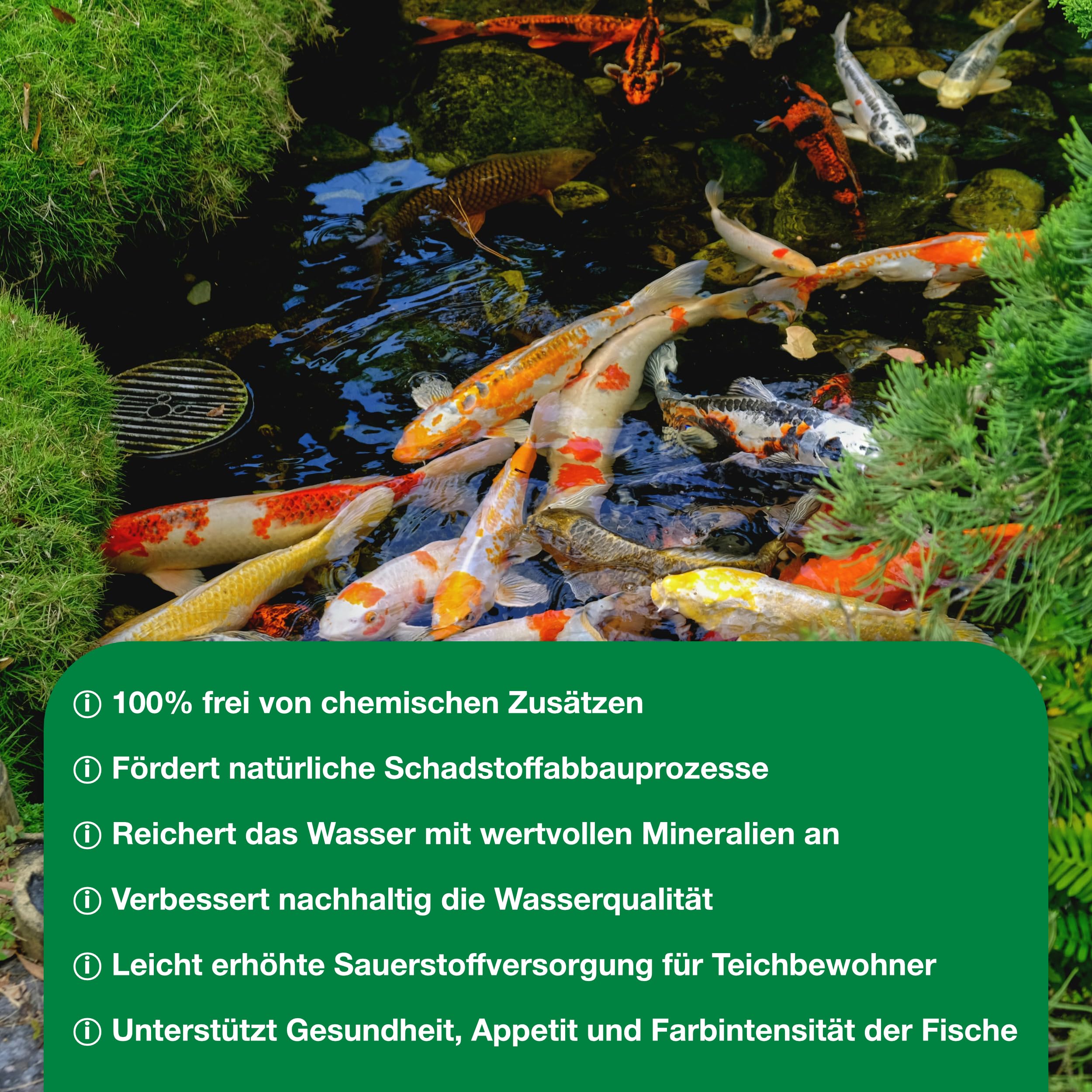 Teichpoint Pond Repair 5kg | Entfernt Fadenalgen auf biologische Weise im Garten- und Koiteich | Algenfreies Teichwasser | Reichweite 150.000 Liter