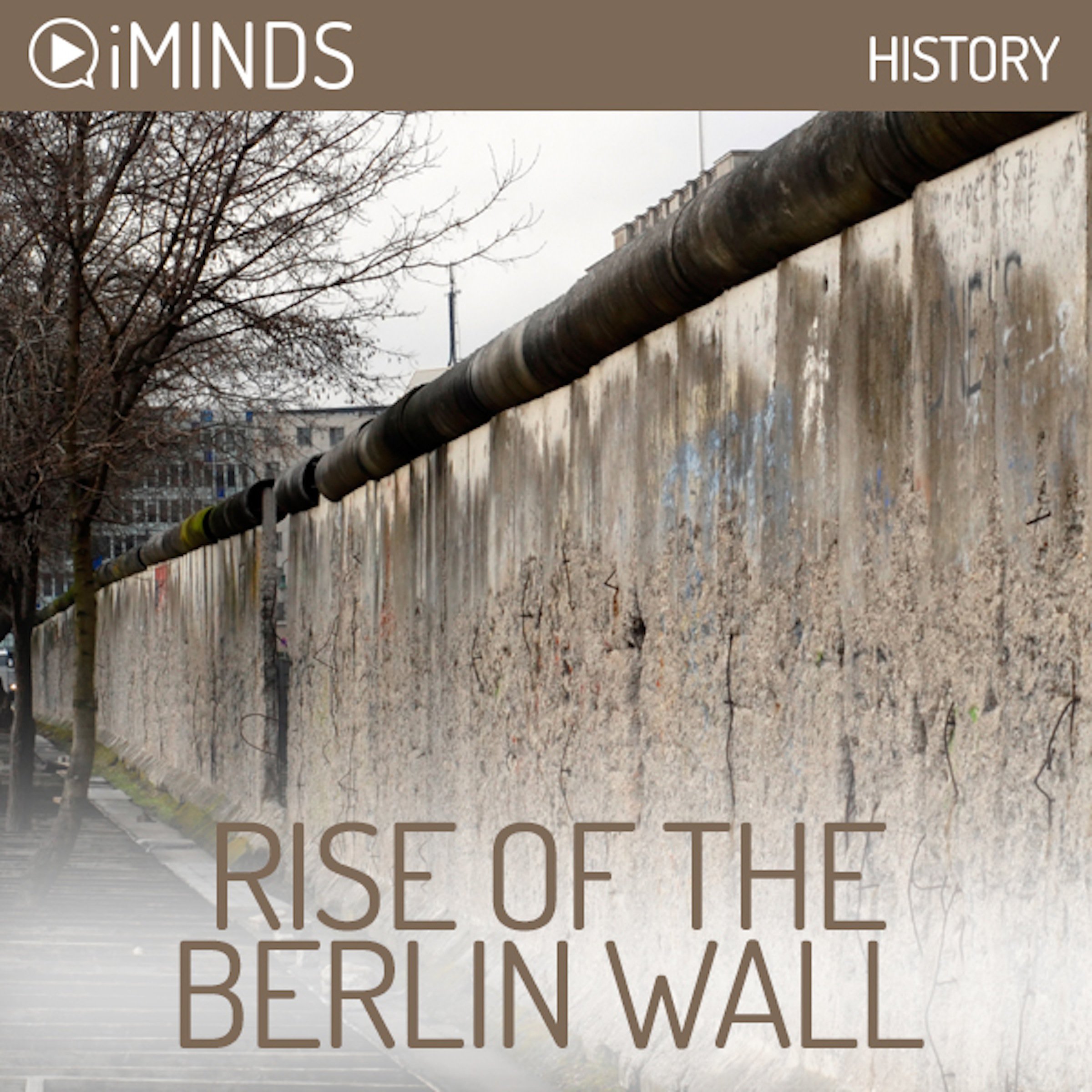 Cover art for Rise of The Berlin Wall