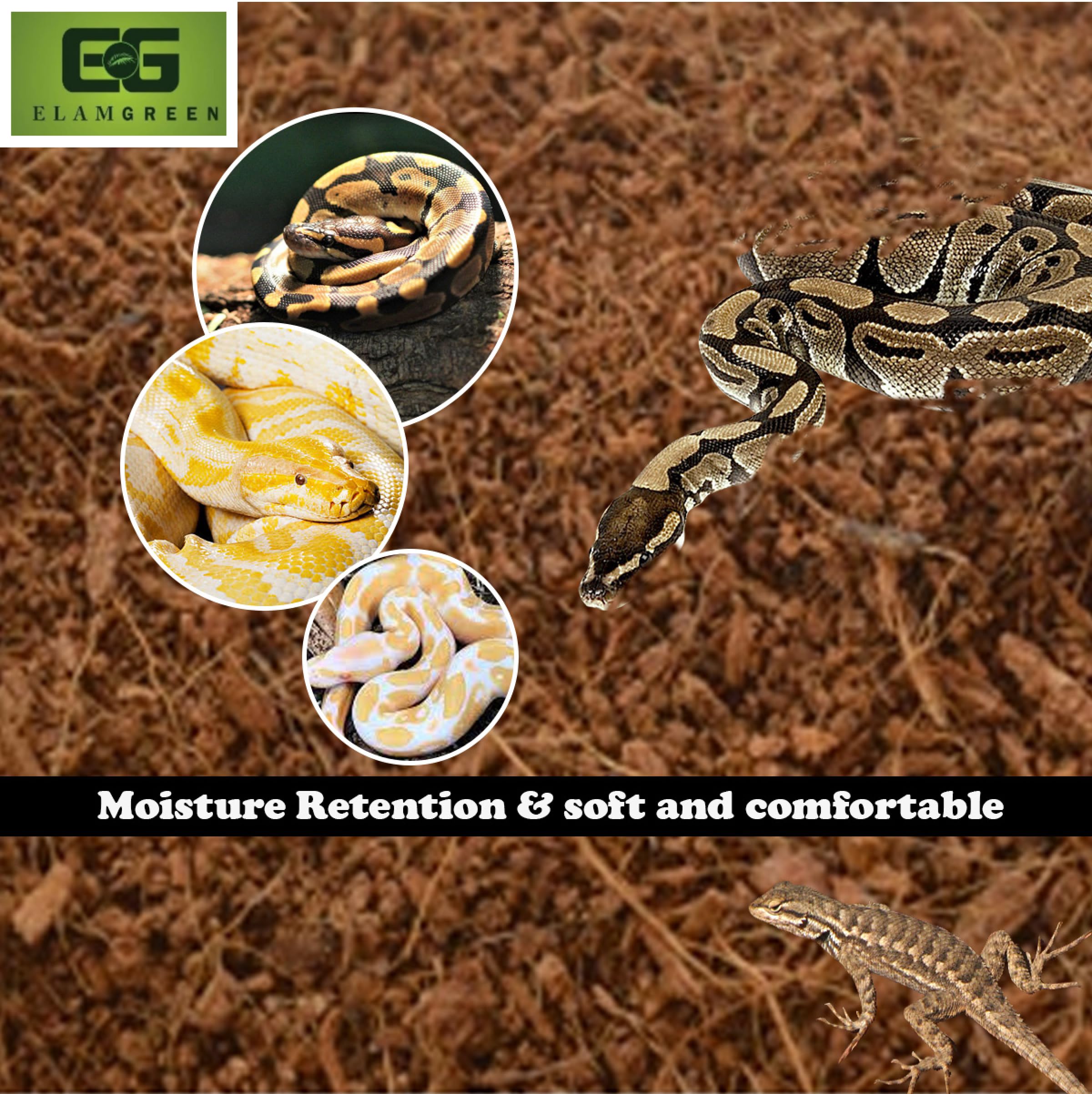 Elamgreen Coco peat Block for Animal Bedding pet Products | Dogs, Cats Reptiles Snakes Chicken Birds (650 gram) 3
