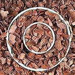 AVALUTION Orchid Potting Bark-3QT Organic Orchid Bark for Plants, All Natural Pine Bark Wood Chips for Houseplant Mulch, Orchid Plants Root Development, Mulch for Potted Plants