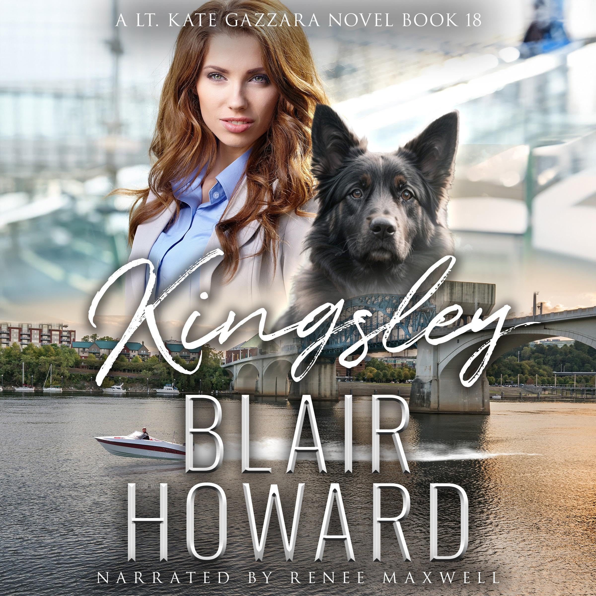 Cover art for Kingsley: Case 18