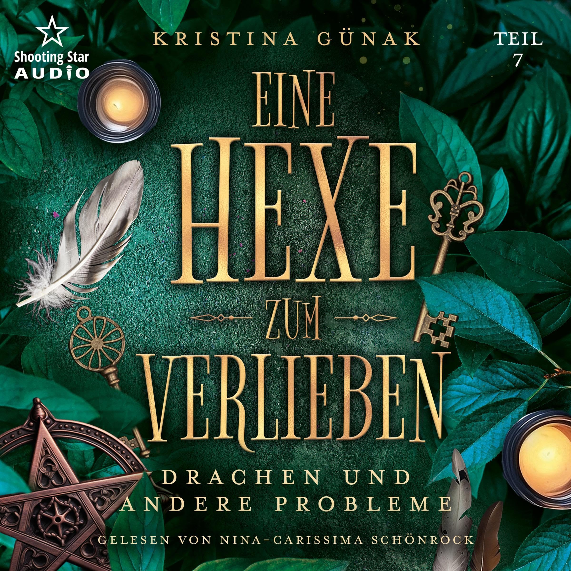 Cover art for Drachen und andere Probleme