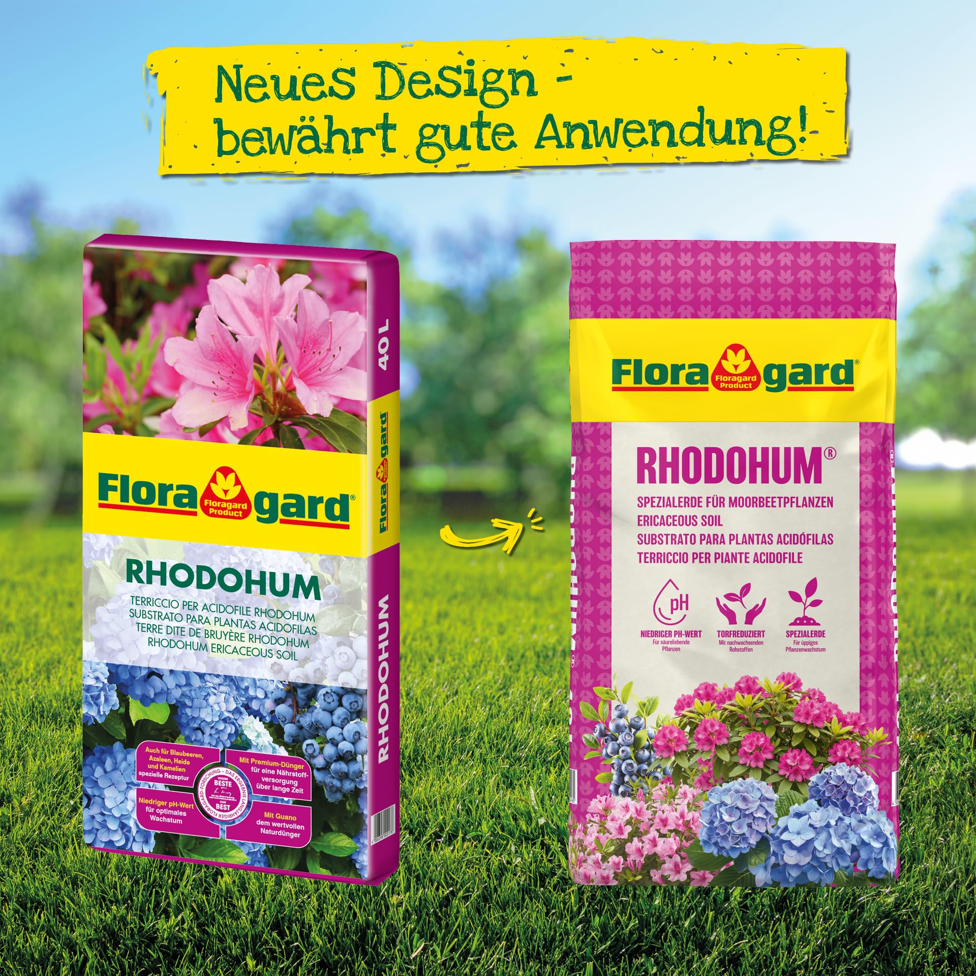 rasendnger fr thuja Purgrn Thuja-Brabant-Dnger 1 kg