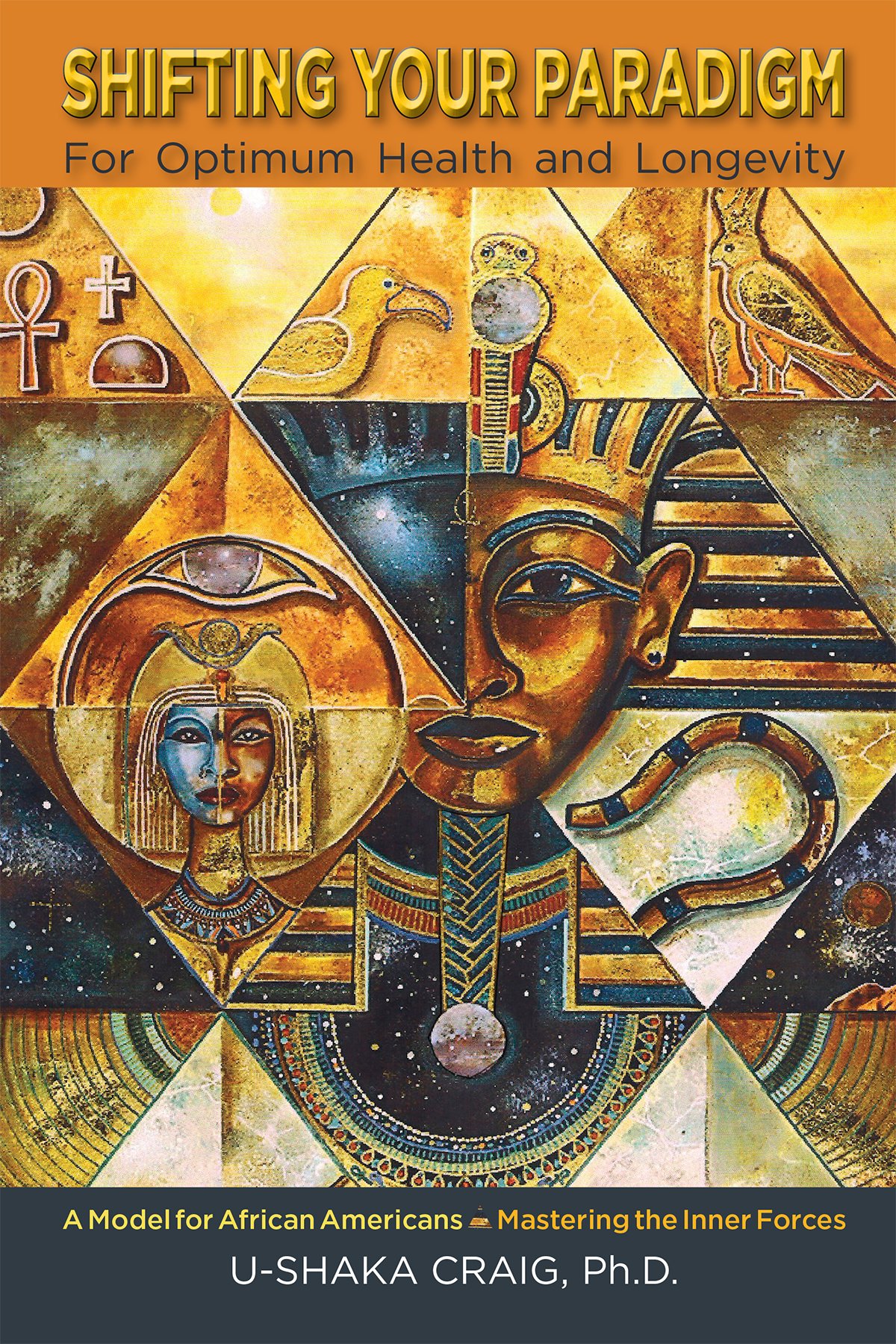 Shifting Your Paradigm For Optimum Health and Longevity Hardcover – January 1, 2017