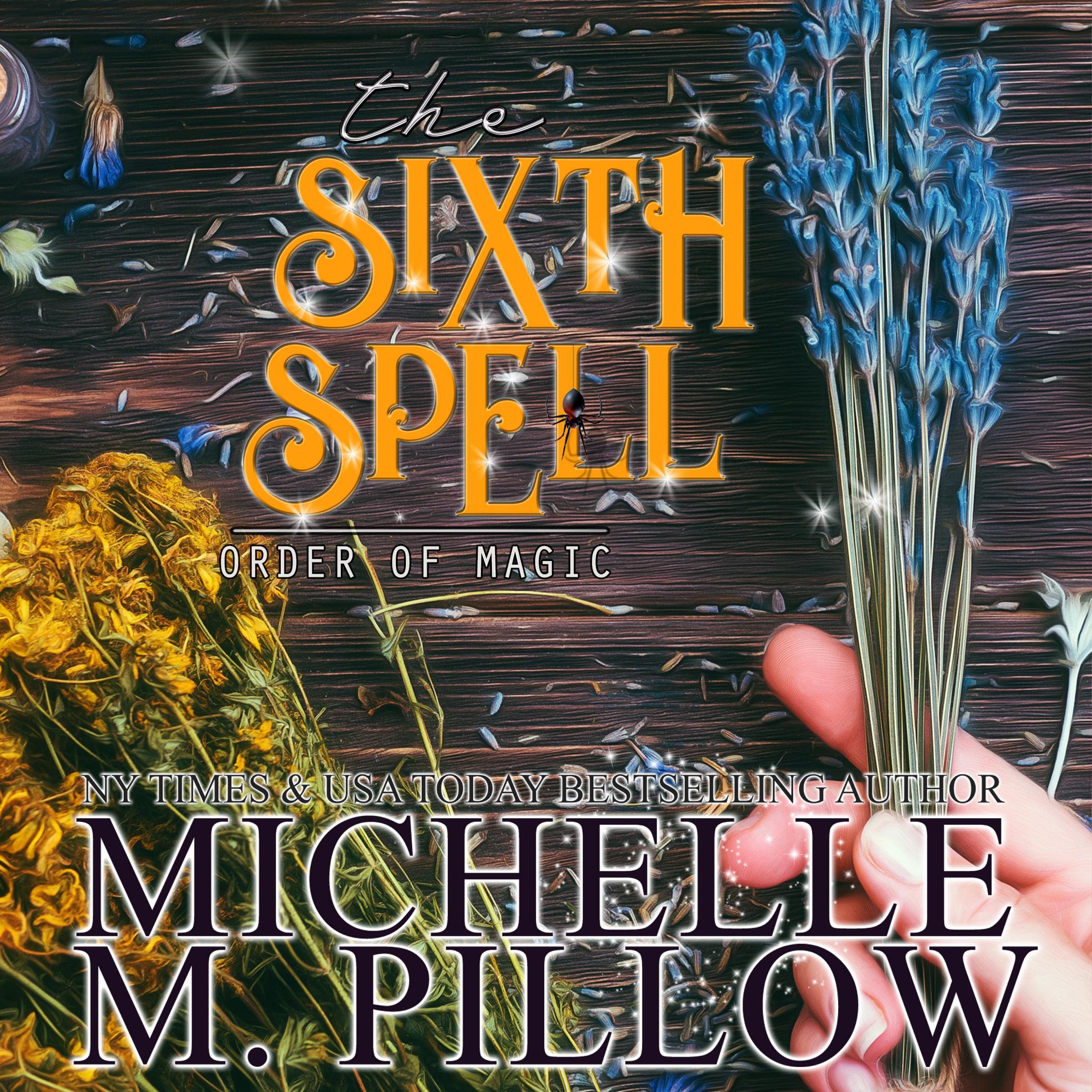 Cover art for The Sixth Spell