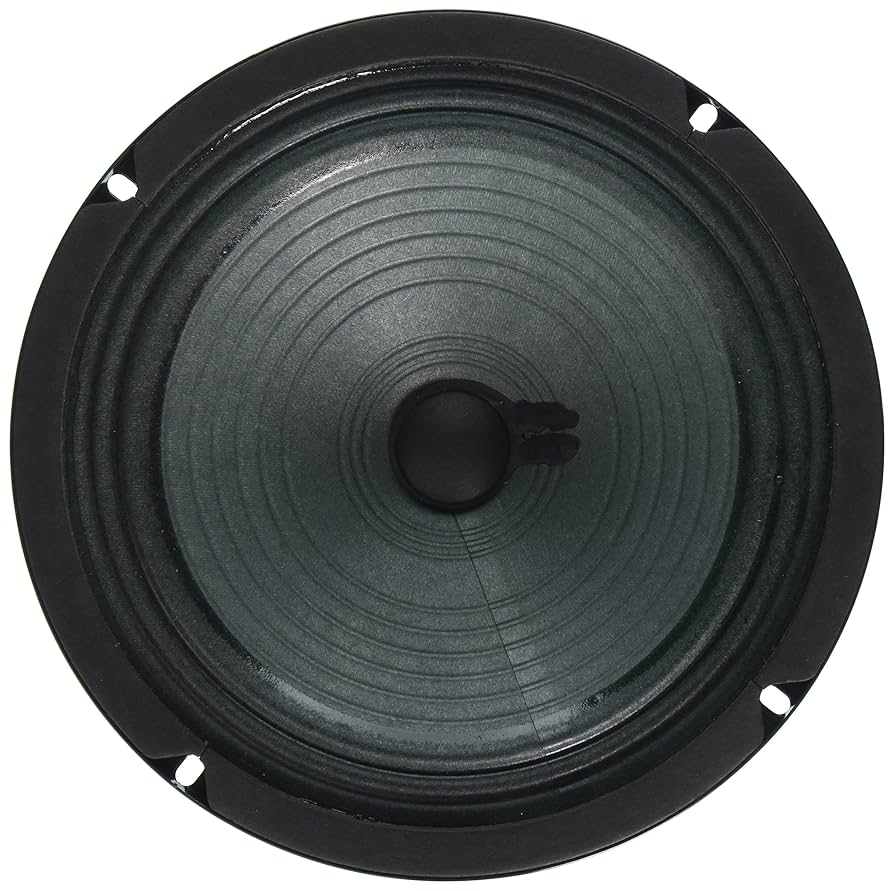  P8R 80 スピーカー Amazon.com: Jensen Speaker, Green, 8-Inch (P8R8) : Musical