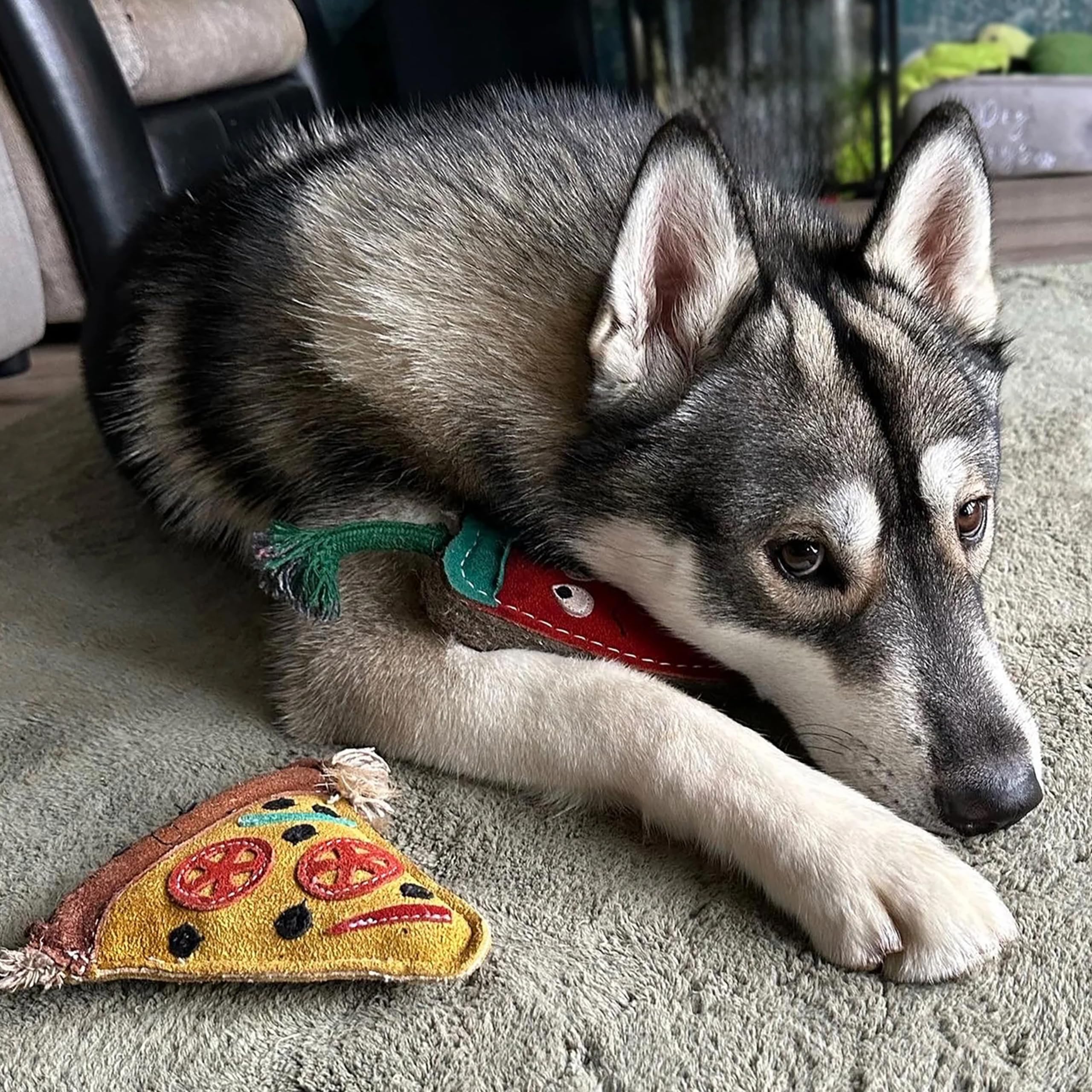 Green & Wilds Eco-Friendly Natural Dog Toy - Pepe La Pizza - Suede & Jute Sustainable Chew Toy, Brown, Red, Black, Beige, Green - Image 3
