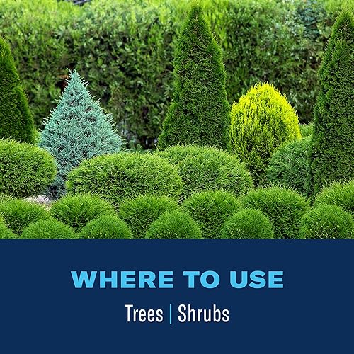 Miniatura 4 de BioAdvanced Tree & Shrub Insect Killer, listo para rociar, 32 onzas