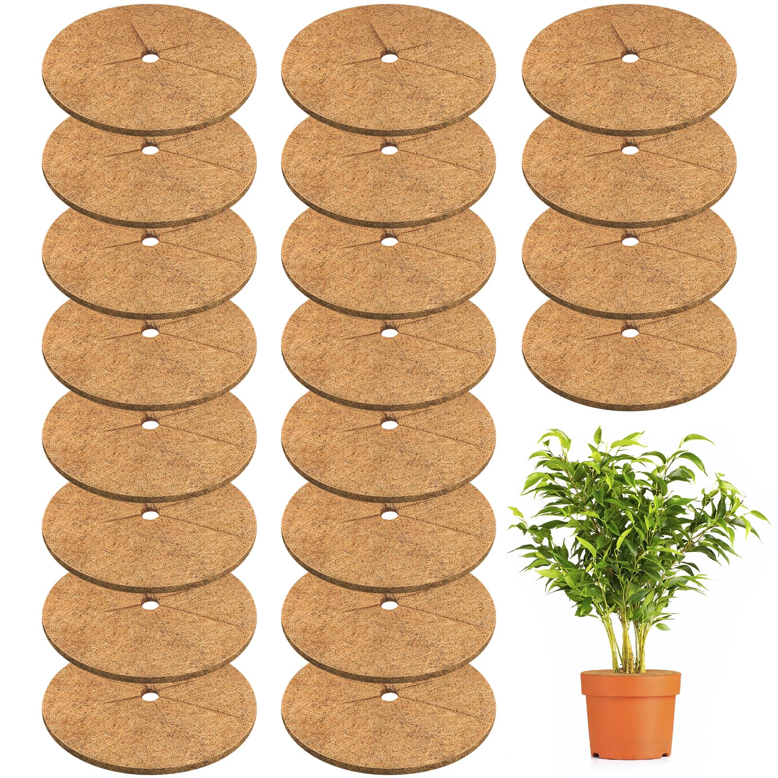 Photo 1 of Legigo 20pcs Coconut Fiber Mulch Ring Tree Plant Protector Mat, 11.8 Inch Natural Coco Coir Tree Mulch Ring Plant Pot Soil Cover, Tree Rings Disc Plant Cover for Indoor Outdoor Plants, Landscaping