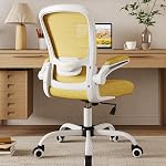 Mimoglad Home Office Chair, High Back Desk Chair, Ergonomic Mesh Computer Chair with Adjustable Lumbar Support and Thickened Seat Cushion (Modern, Beige)