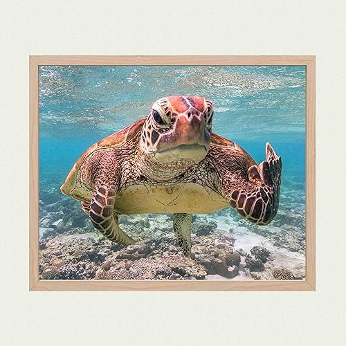 Miniatura 7 de Sea Turtle Swimming In Ocean - Sea Turtle Wall Print, Coastal And Nautical Theme Wall Decor Print Is Ideal For Home Decor, Lake House Decor, Office