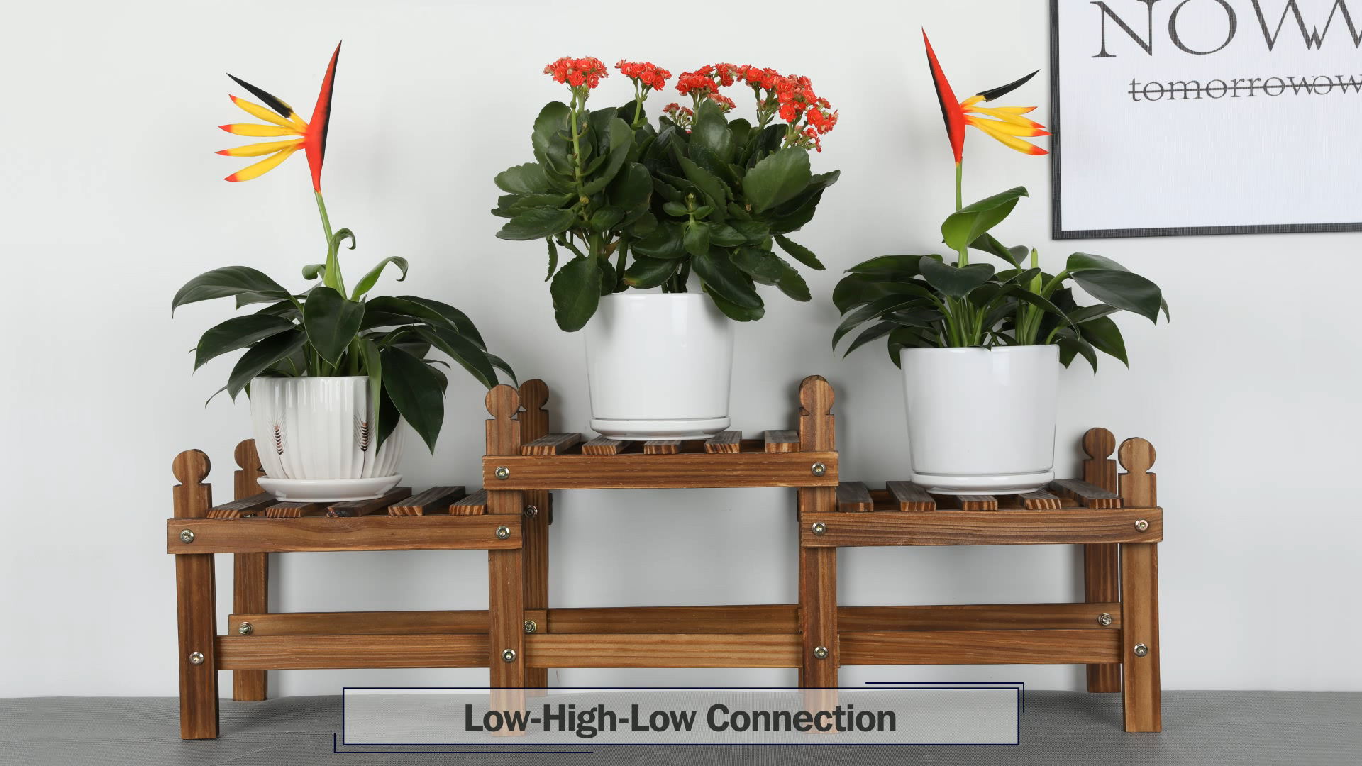 Amazon.com : Tovacu Wood Flower Stand Small Plant Stand Indoor