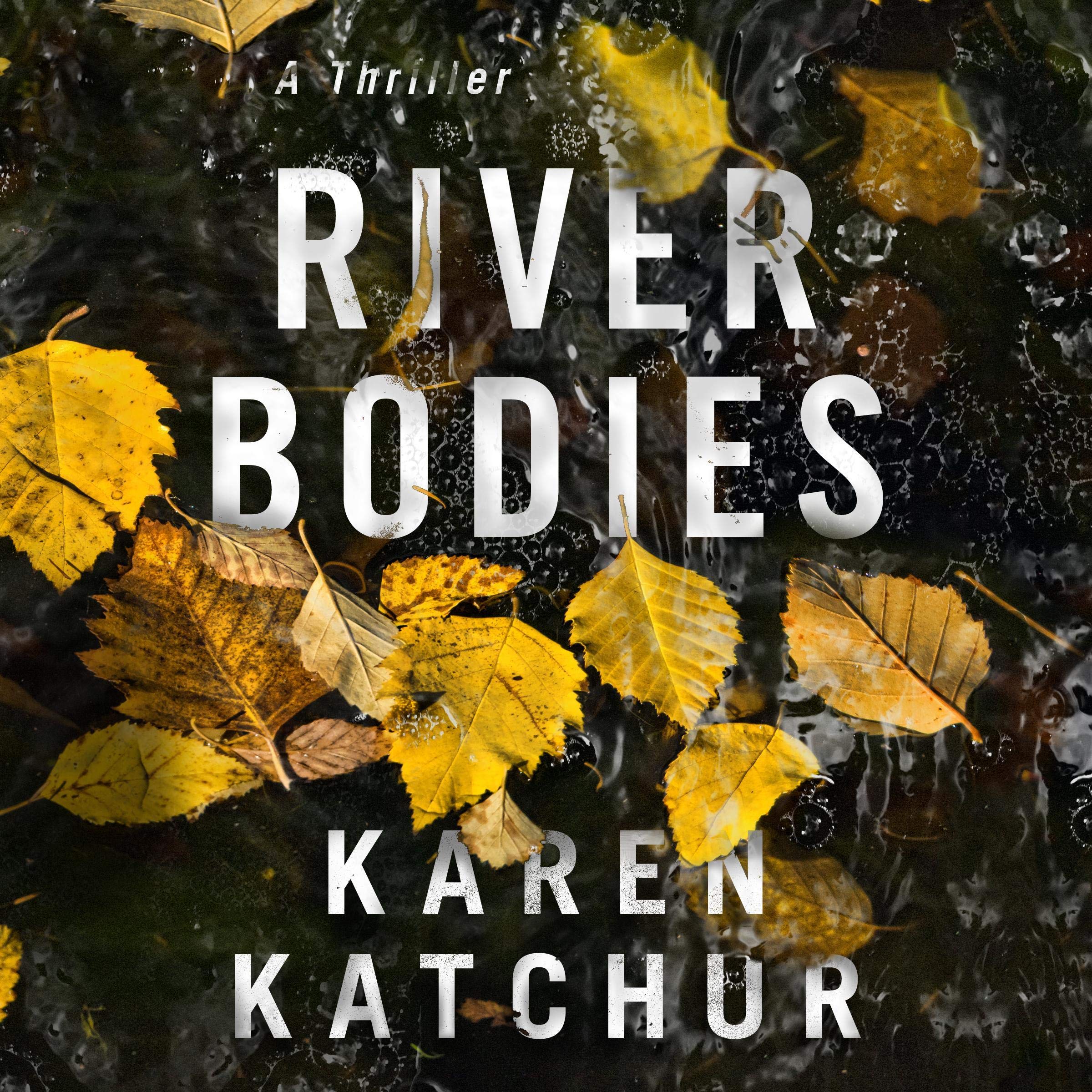 Cover art for River Bodies