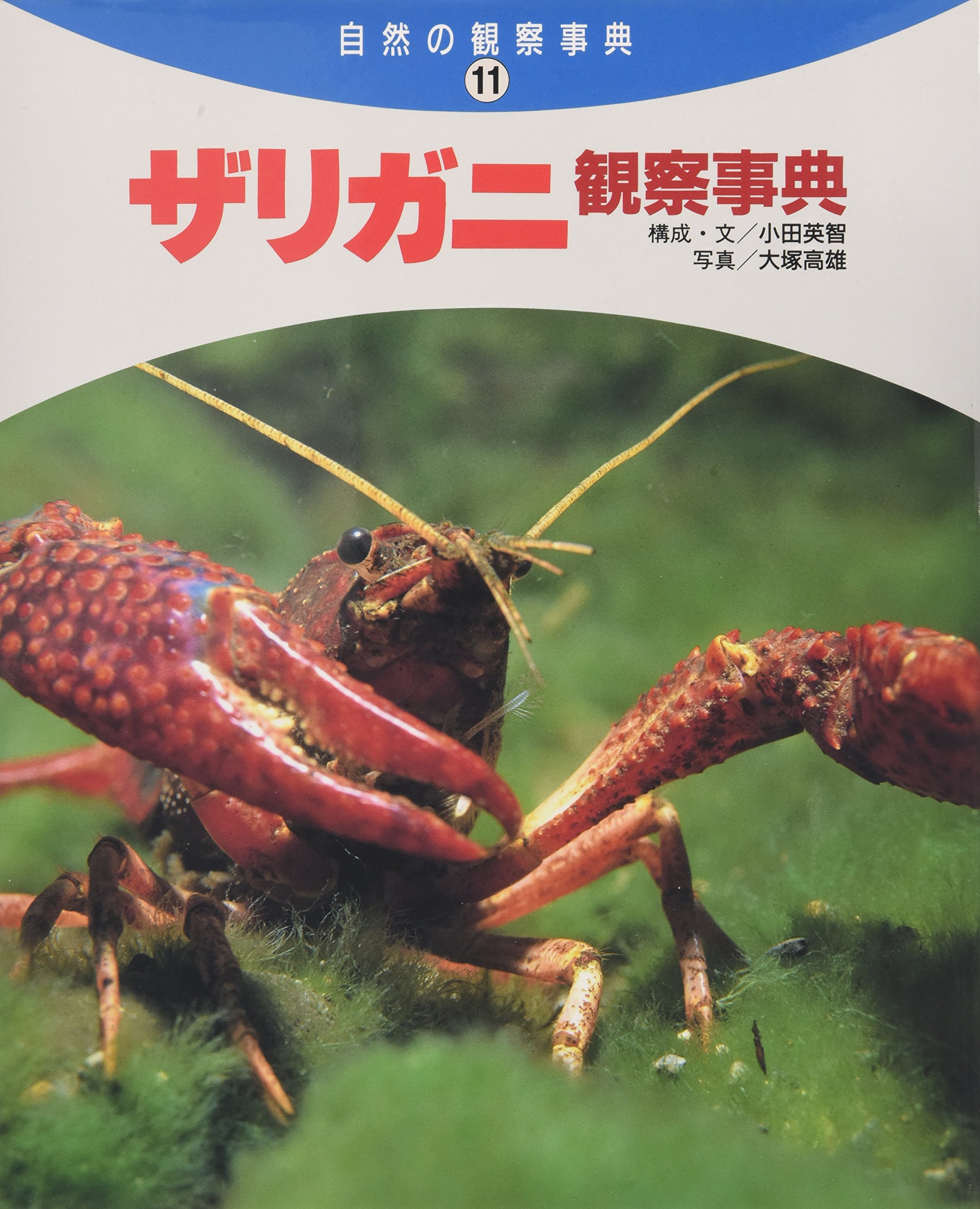 ザリガニ観察事典 (自然の観察事典 11) | 小田 英智, 大塚 高雄 |本