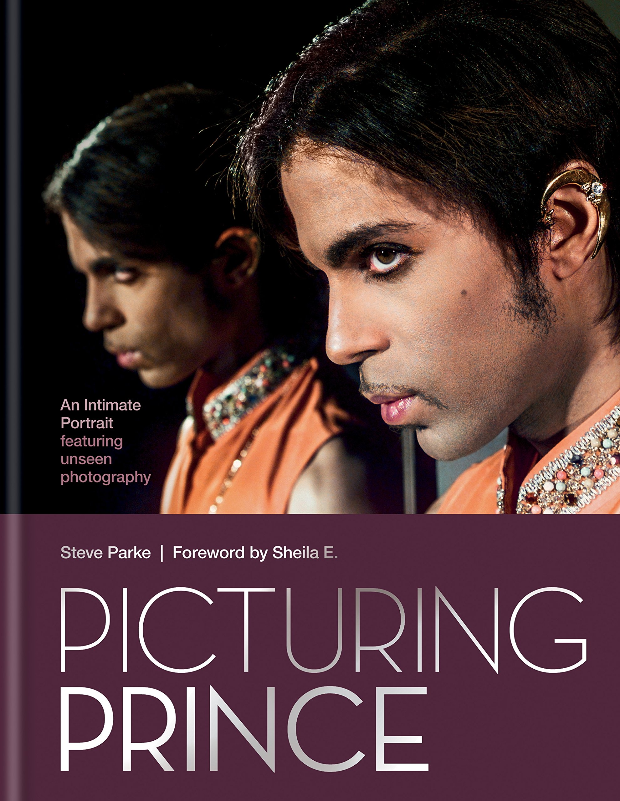 Picturing Prince: An Intimate Portrait (English Edition)