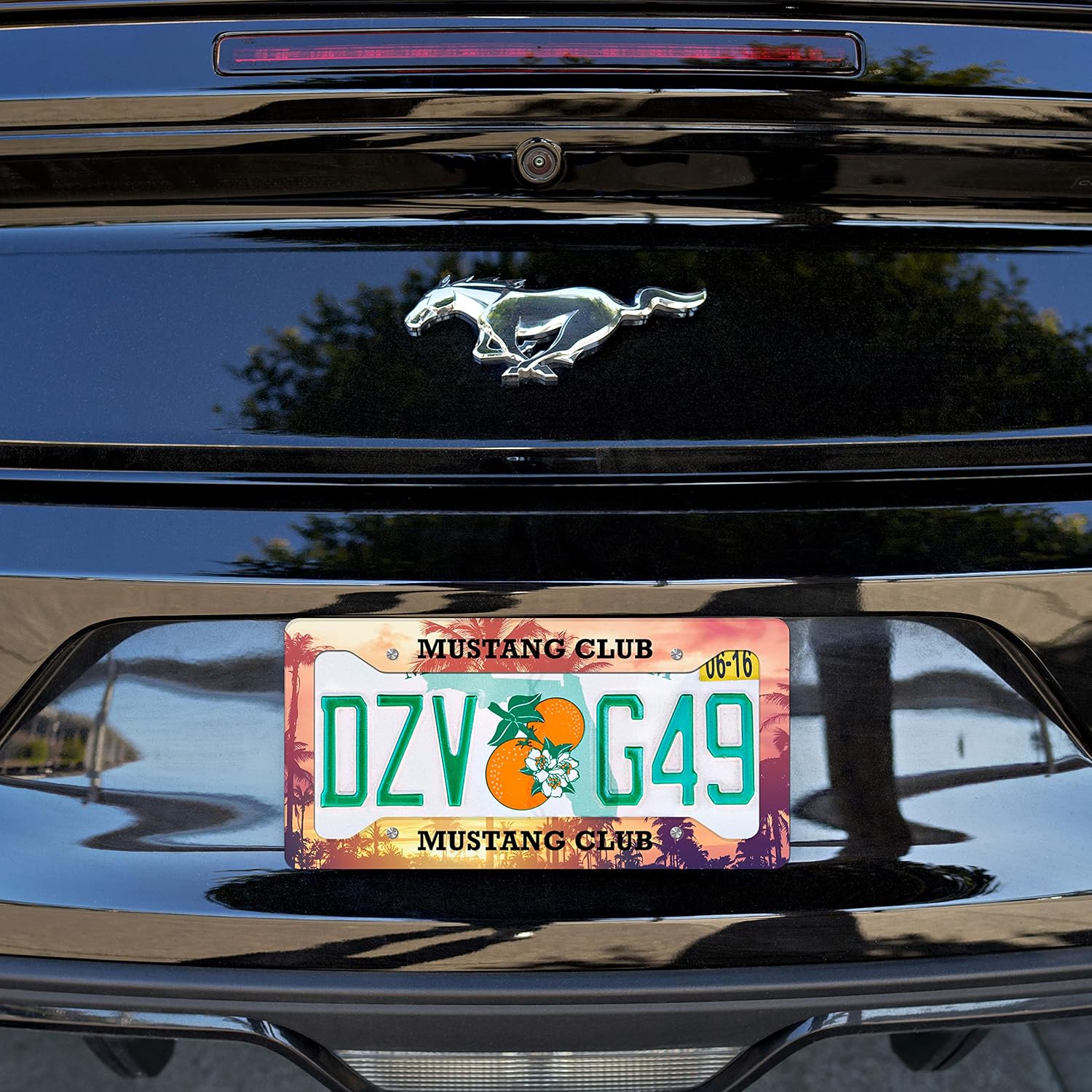 Personalized License Plate Frame - Custom License Plate Frame for Car - Heavy Duty Metal License Plate Cover - Customized License Plate Frame Holder, Personalized Gifts for Christmas