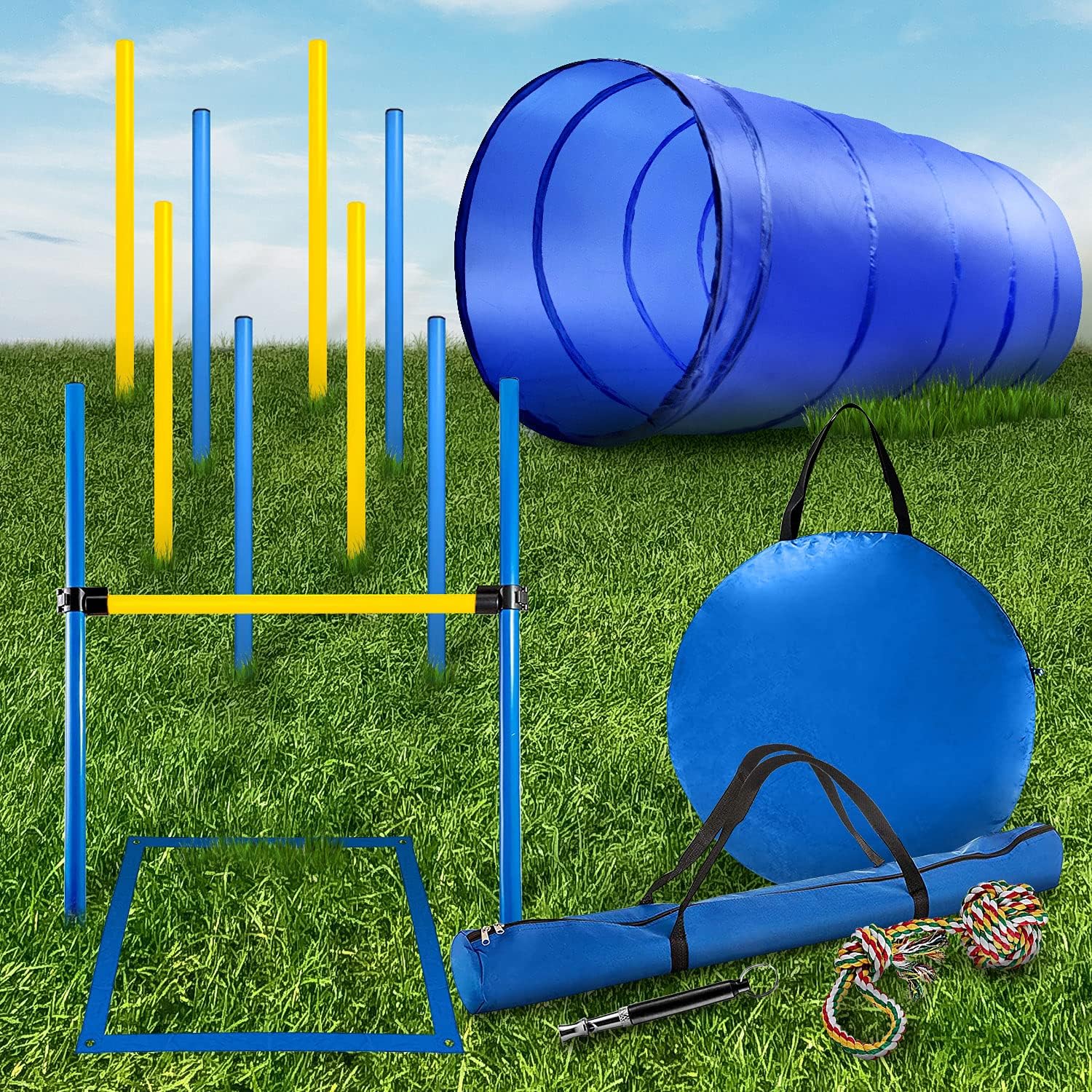 agility training toys