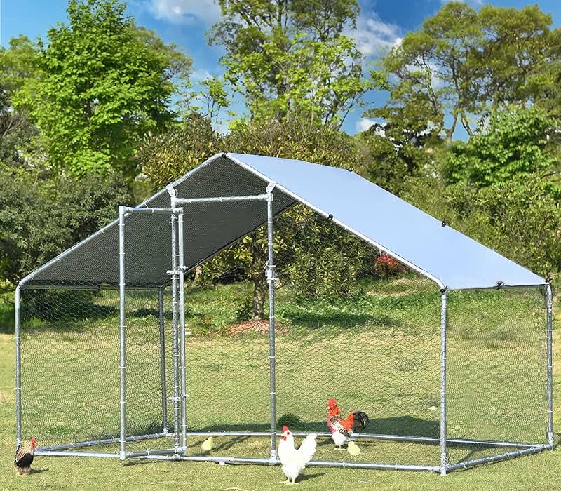 Amazon.com: Wire Poultry Cage