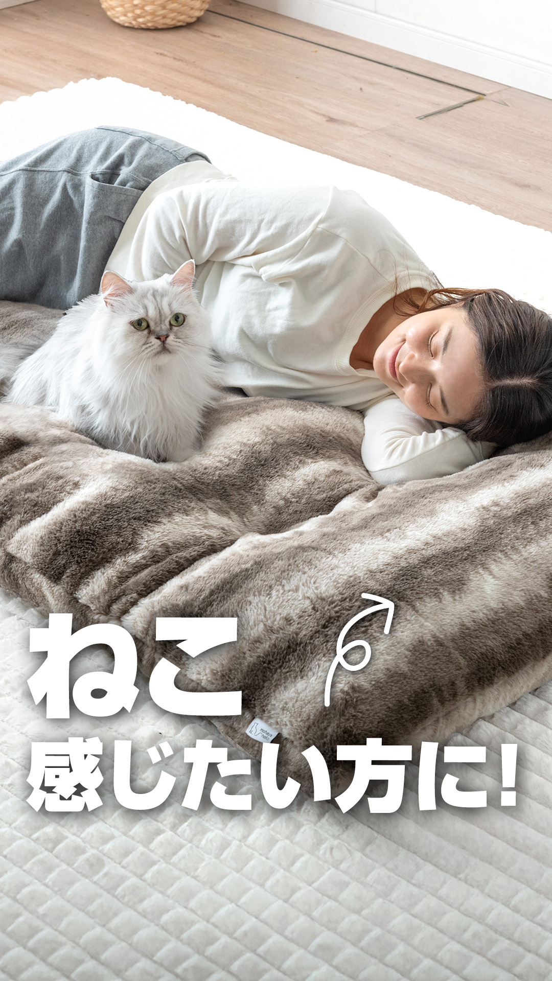 Amazon.co.jp: タンスのゲン もはや、ねこ。クッション ＋3.8℃温感